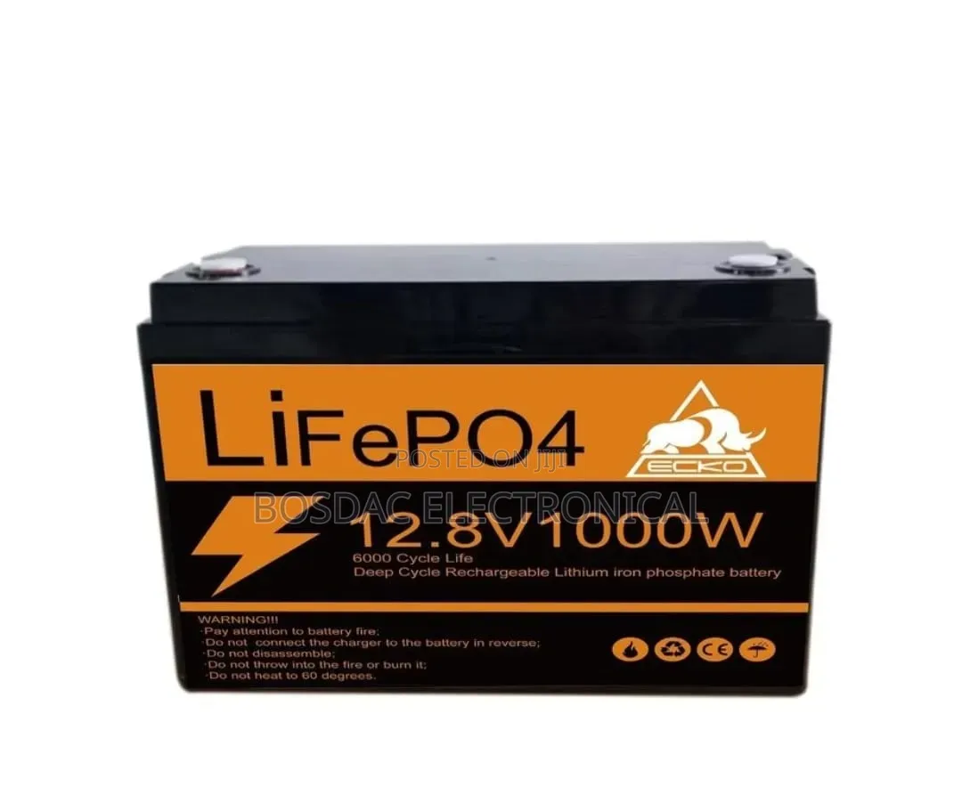 1kw Lithium Battery