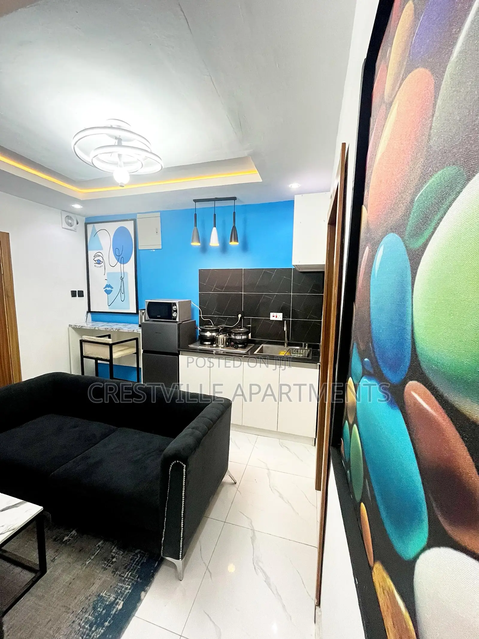 Very Beautiful One Bedroom Apartment in Surulere