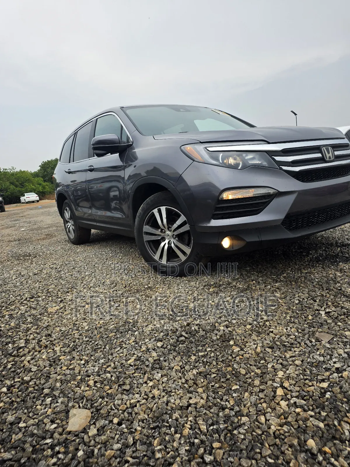 Honda Pilot EX-L 4dr SUV (3.5L 6cyl 5A) 2016 Gray
