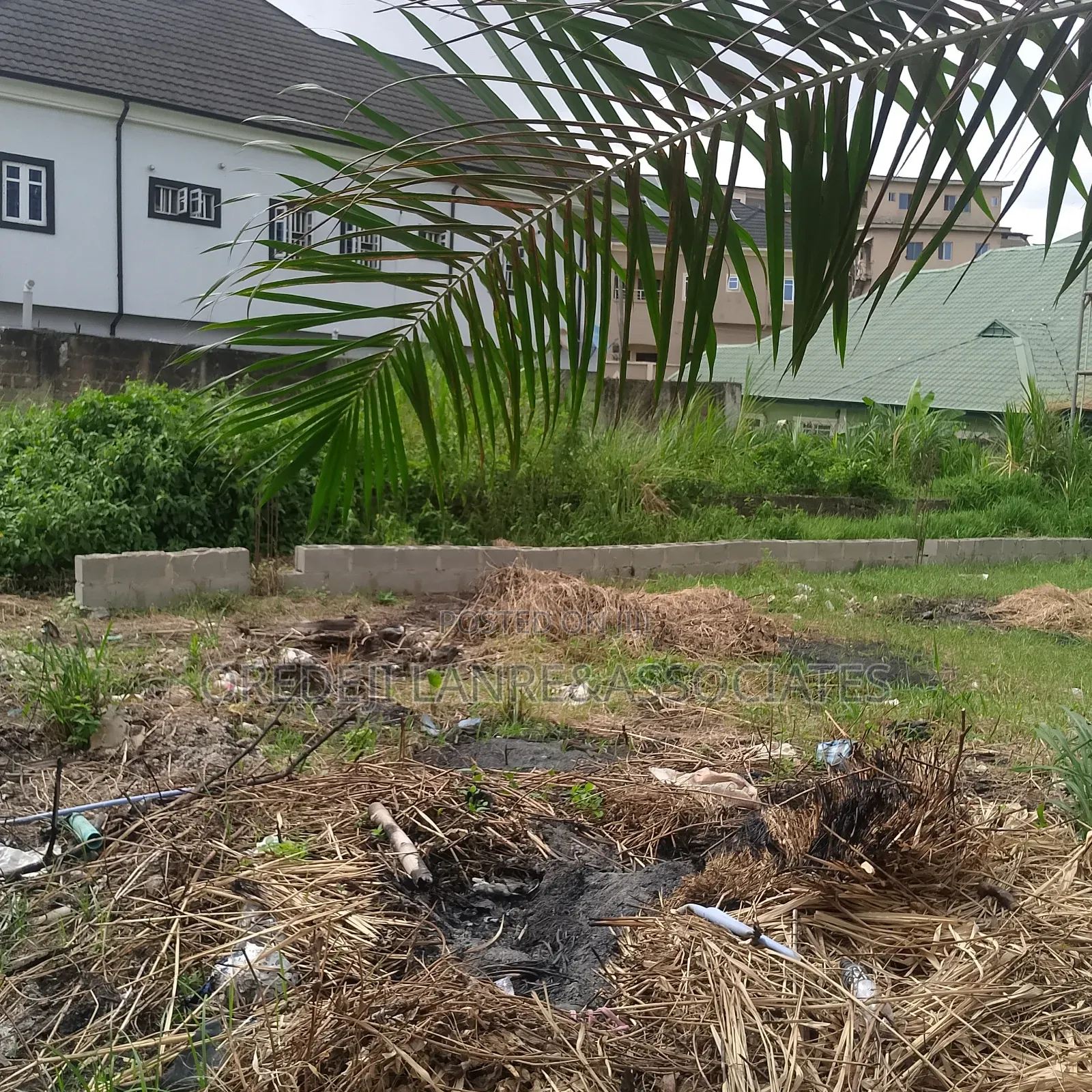 Prime 50 Ft by 50 Ft Land Inside Williams Estate Ogba