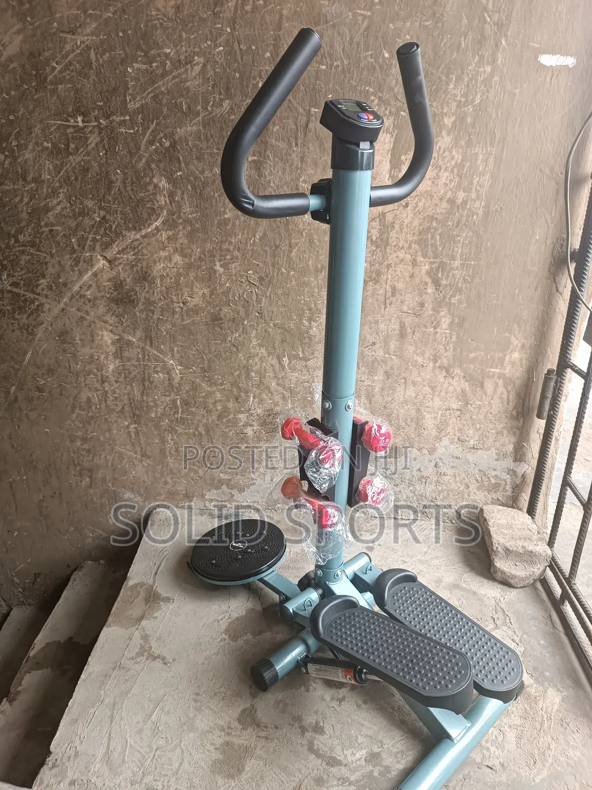 Standing Stepper With Twister and Dumbbells