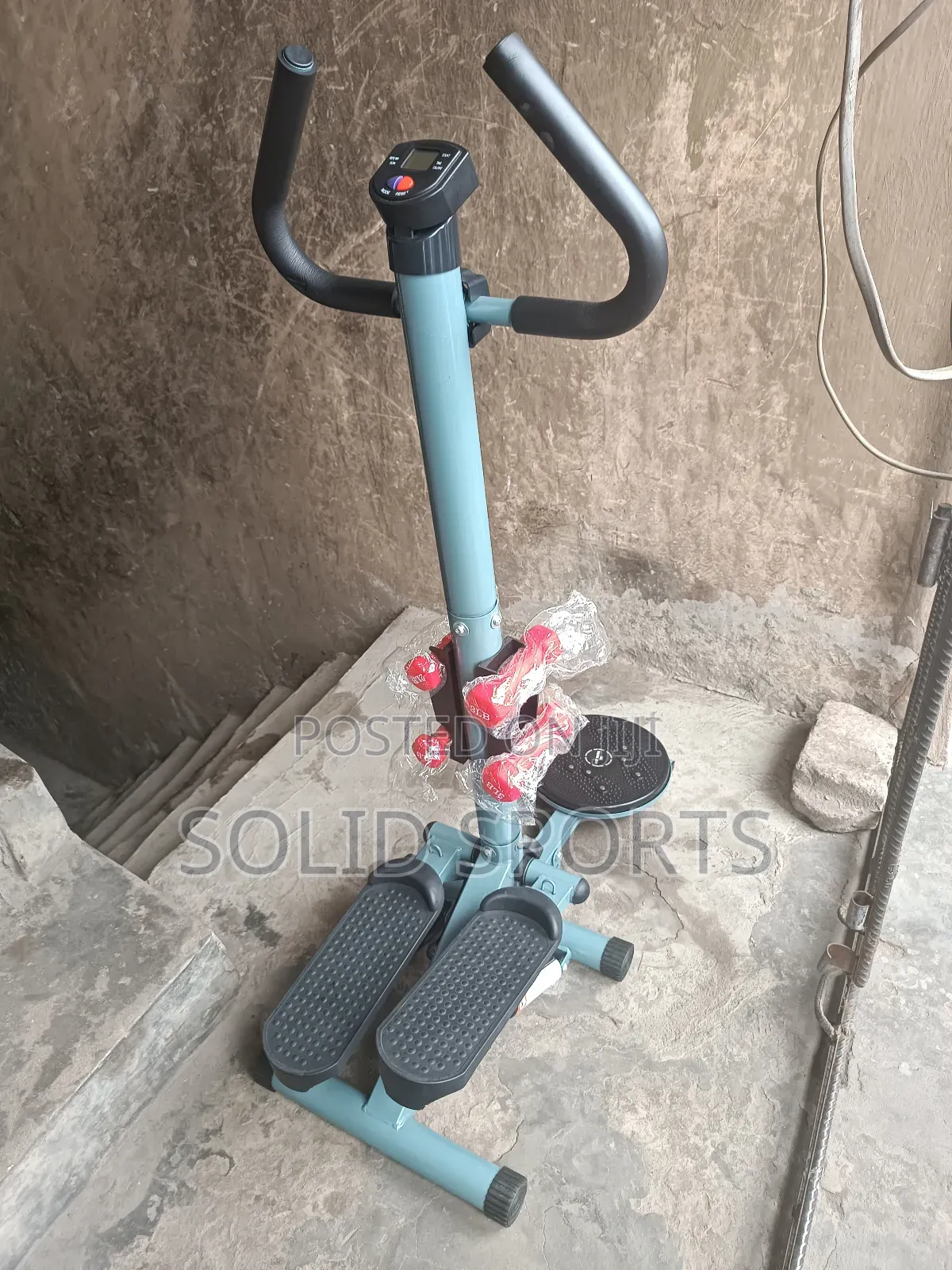 Standing Stepper With Twister and Dumbbells
