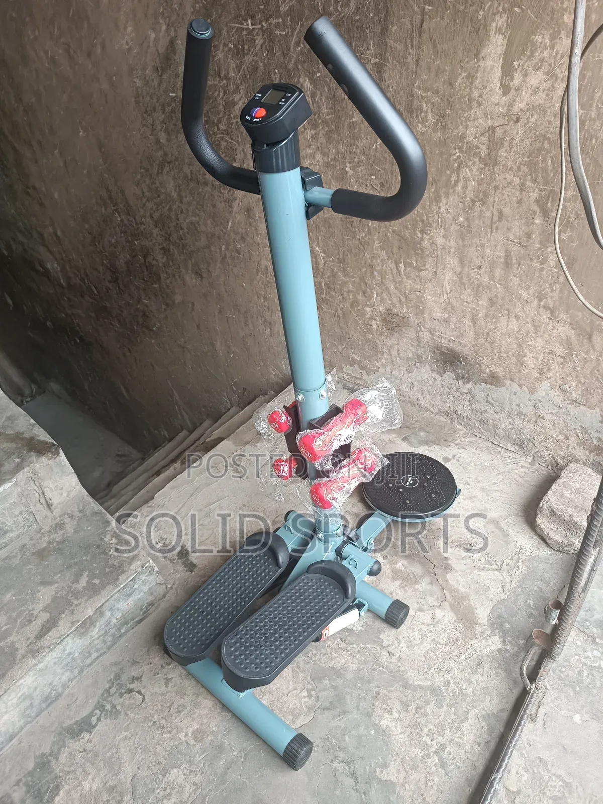 Standing Stepper With Twister and Dumbbells
