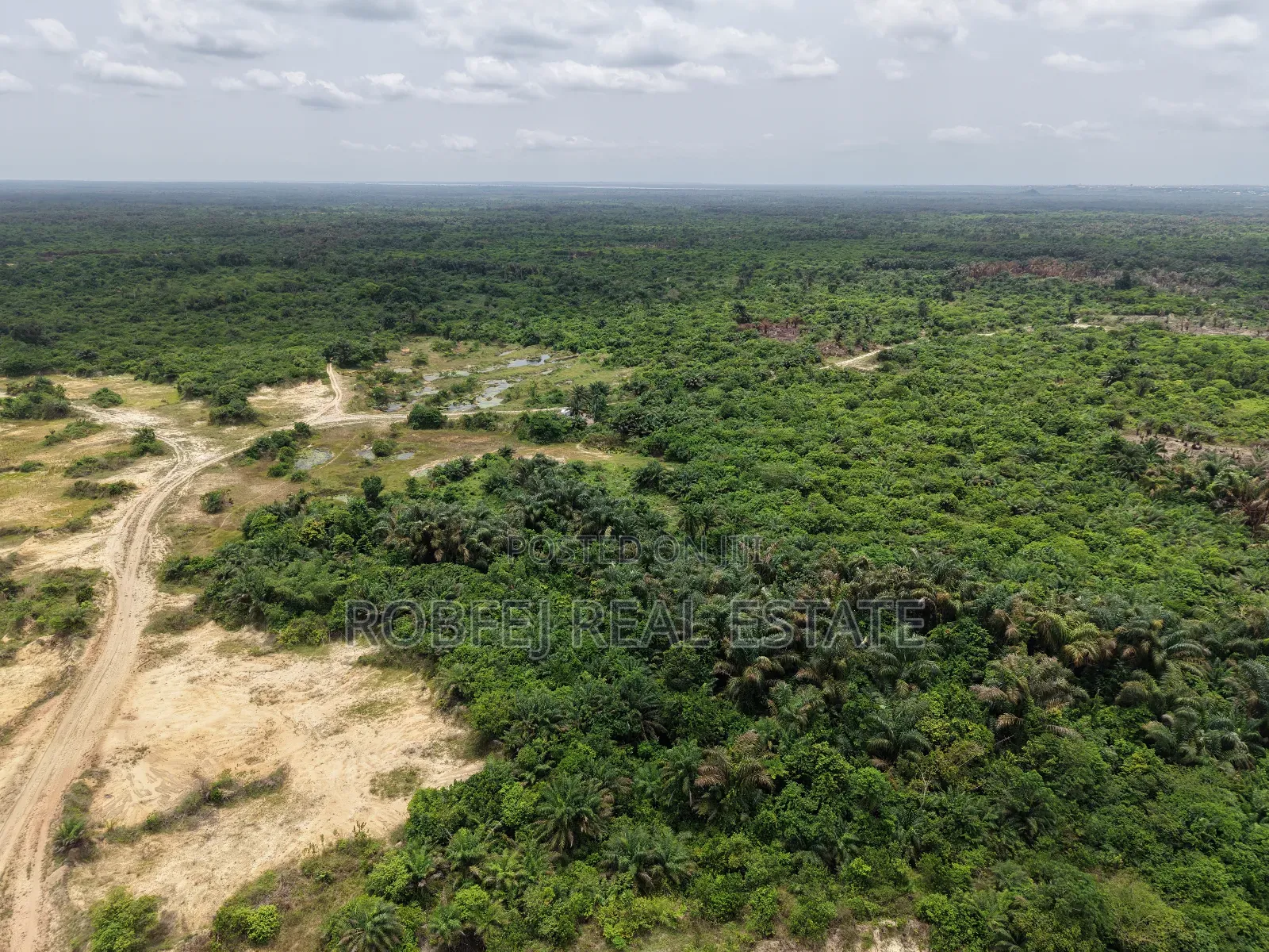 Premium Investment Opportunity 28 Hectares of Land