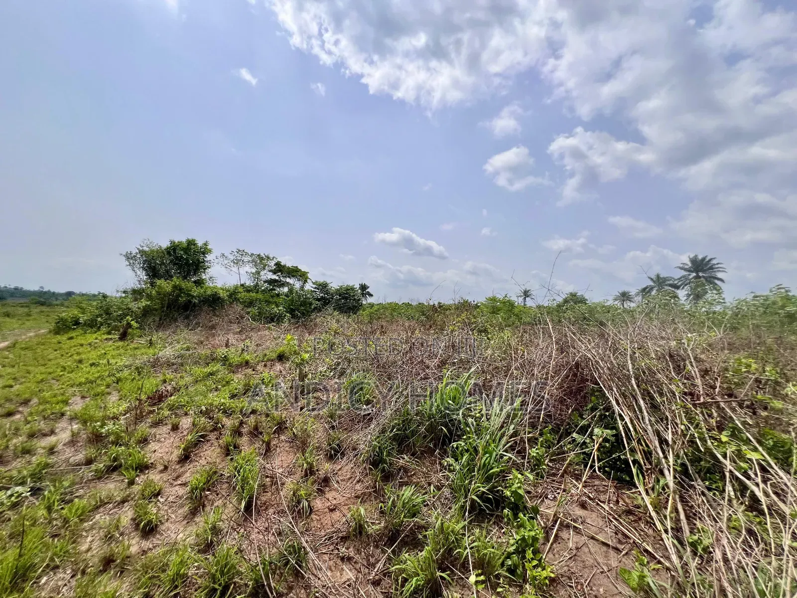 Affordable Residential Land Inside an Estate for Sale at Omu