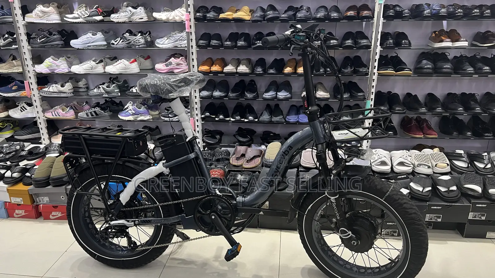 Brand New High Powered Electric Bike