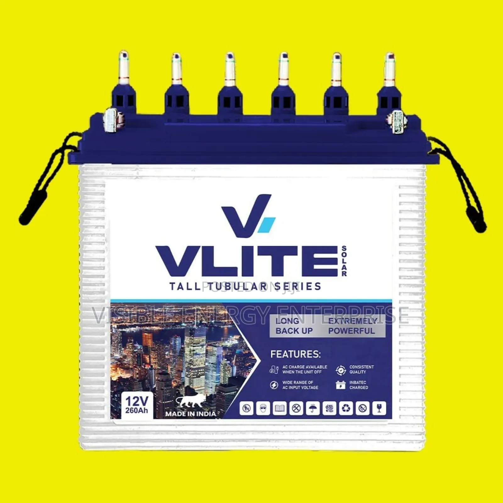 Vlite 260ah Tall Tubular Series Battery