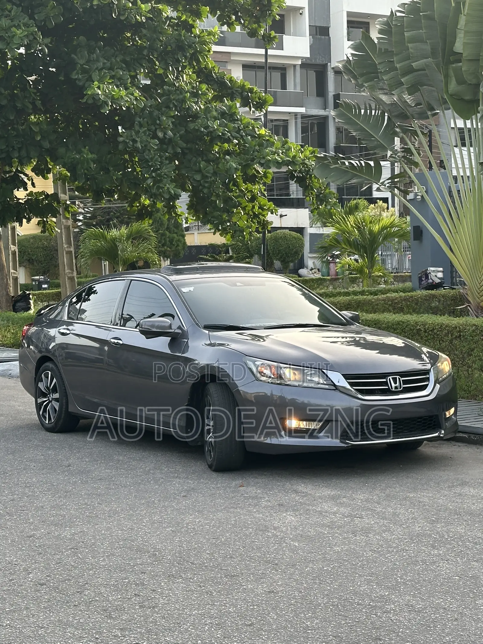 Honda Accord EX-L V-6 4dr Sedan w/Navigation (3.5L 6cyl 6A) 2014 Gray