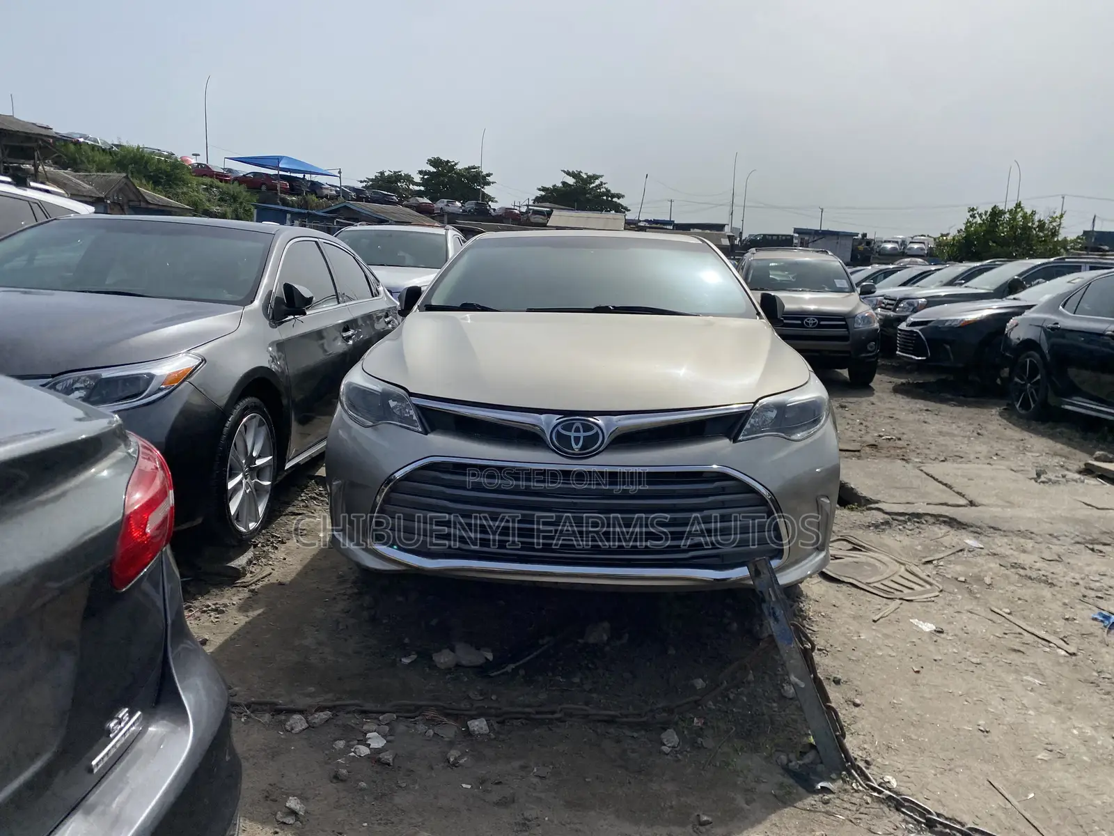 Toyota Avalon Limited 4dr Sedan (3.5L 6cyl 6A) 2014 Gold