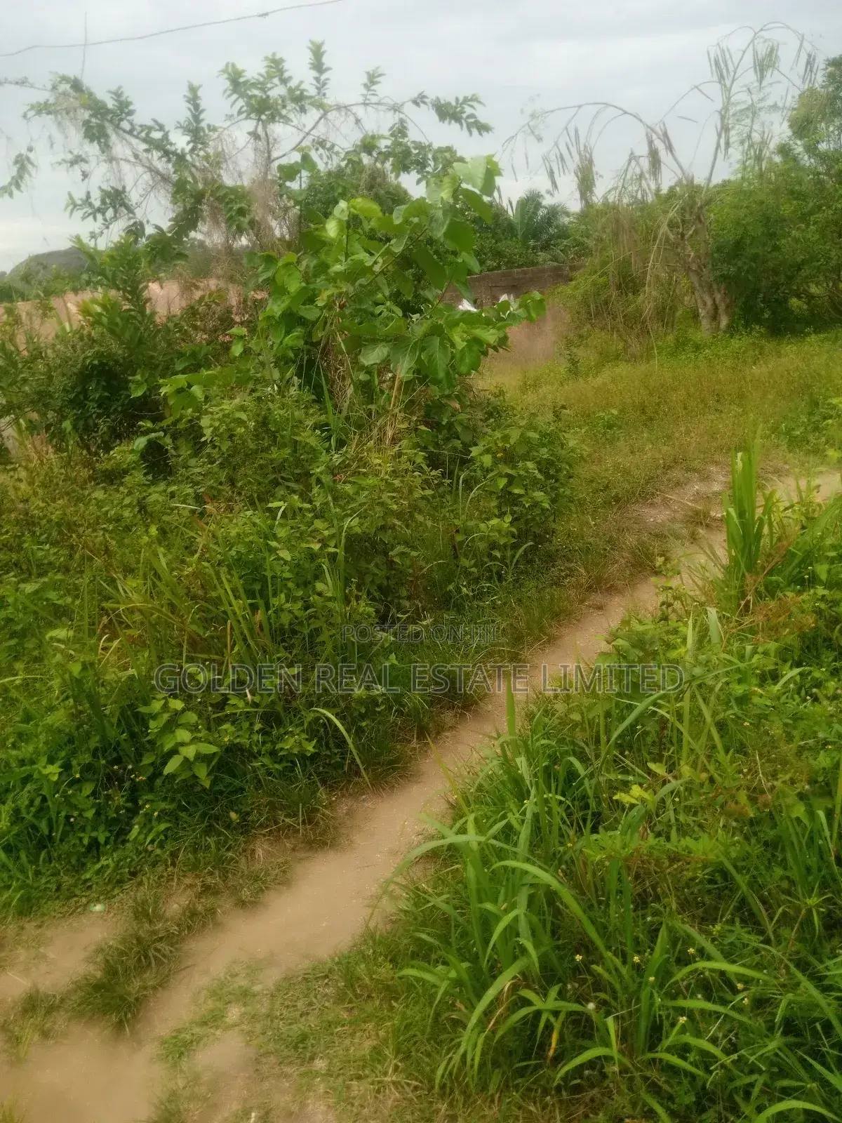 4 Plots of Land for Sale Opposite School of Nursing Ori Apata