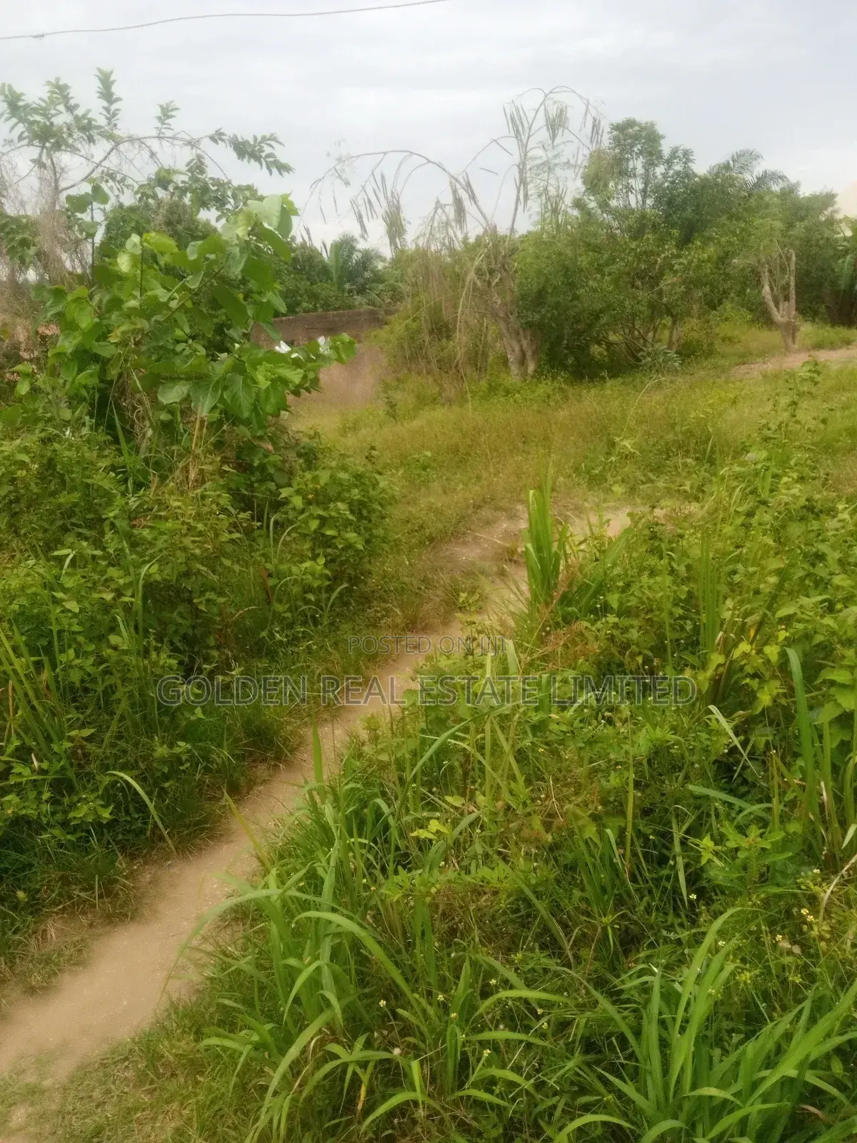 4 Plots of Land for Sale Opposite School of Nursing Ori Apata