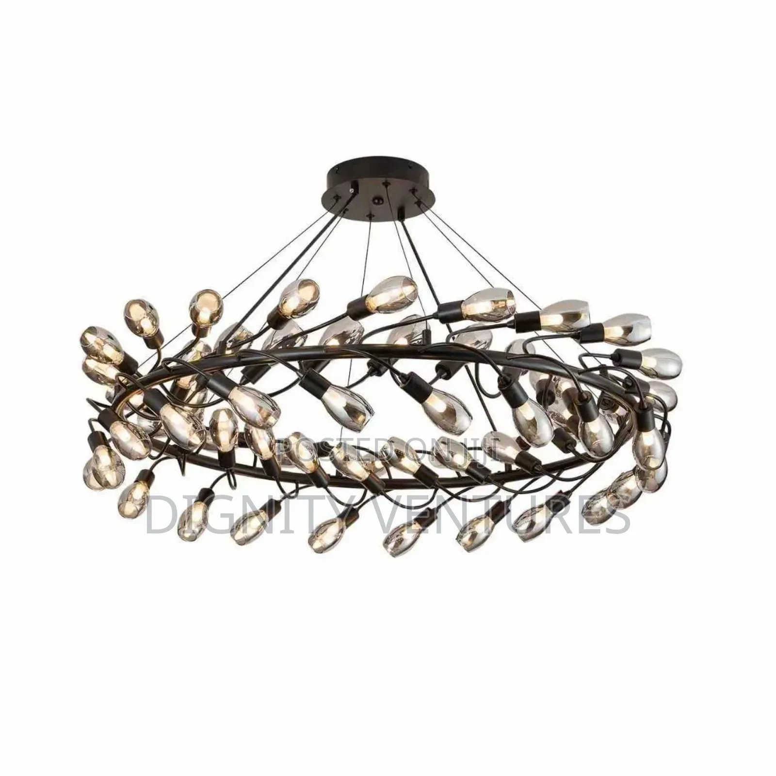Luxury Chandelier