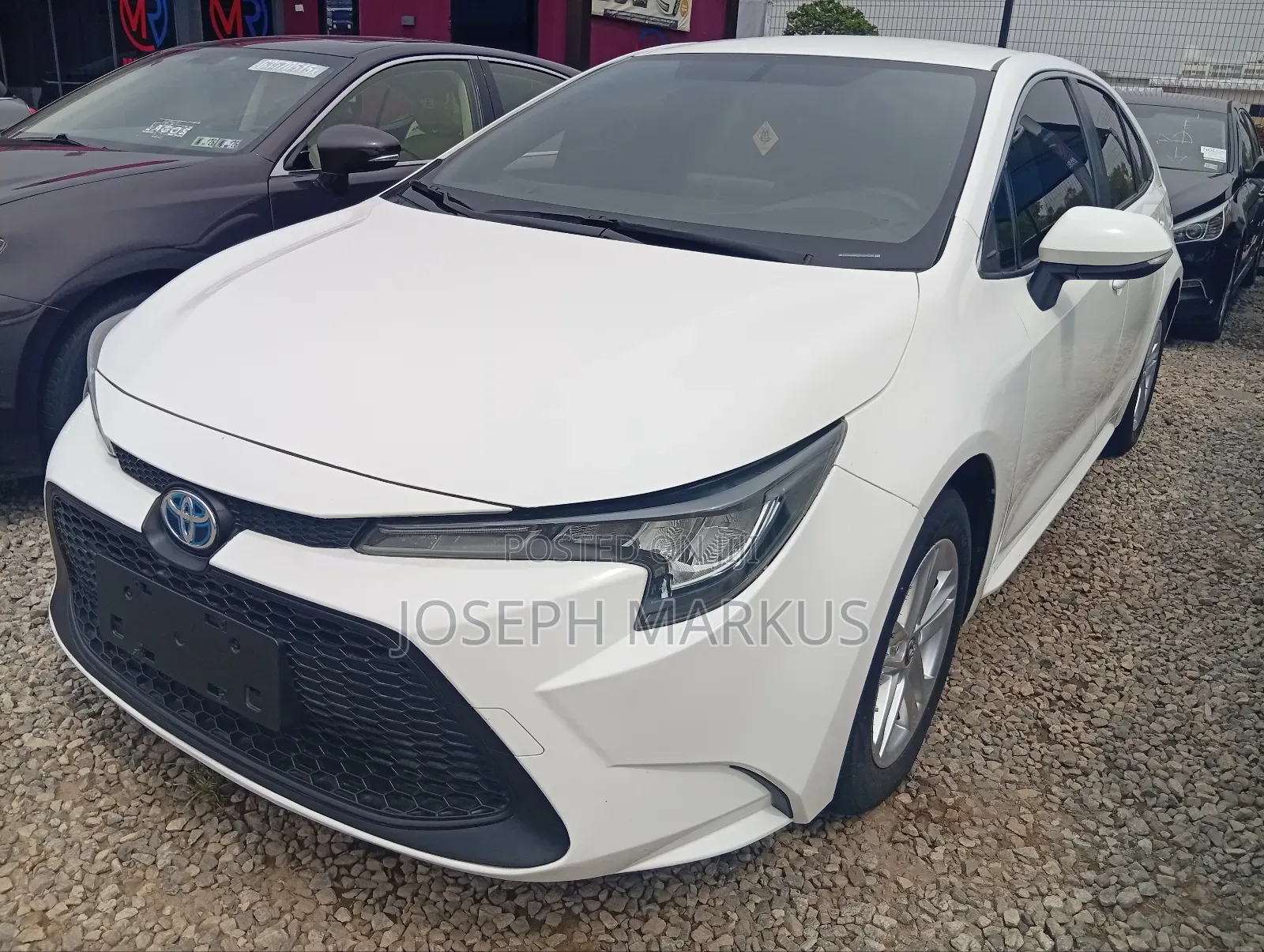 Toyota Corolla 2022 White