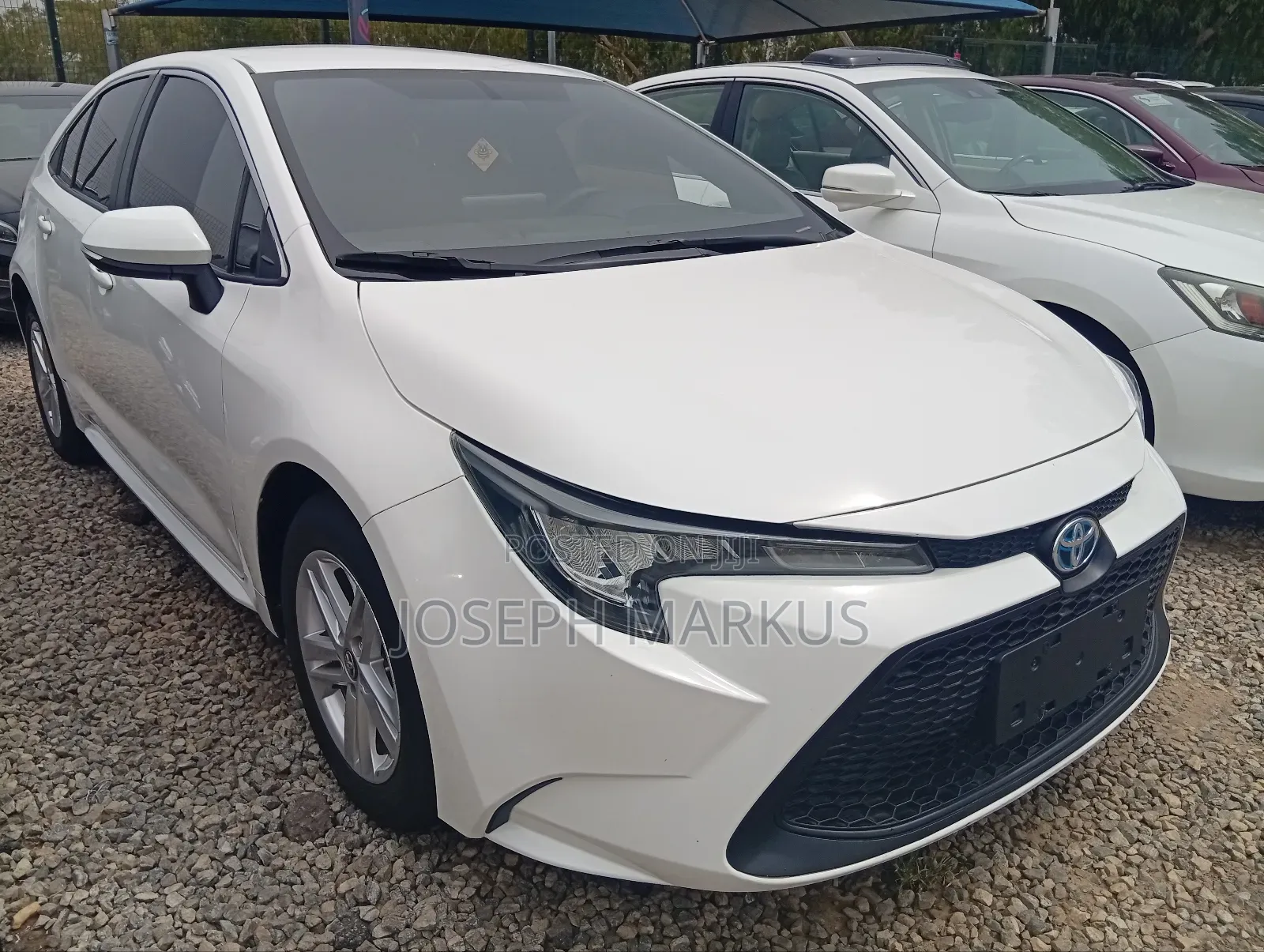 Toyota Corolla 2022 White