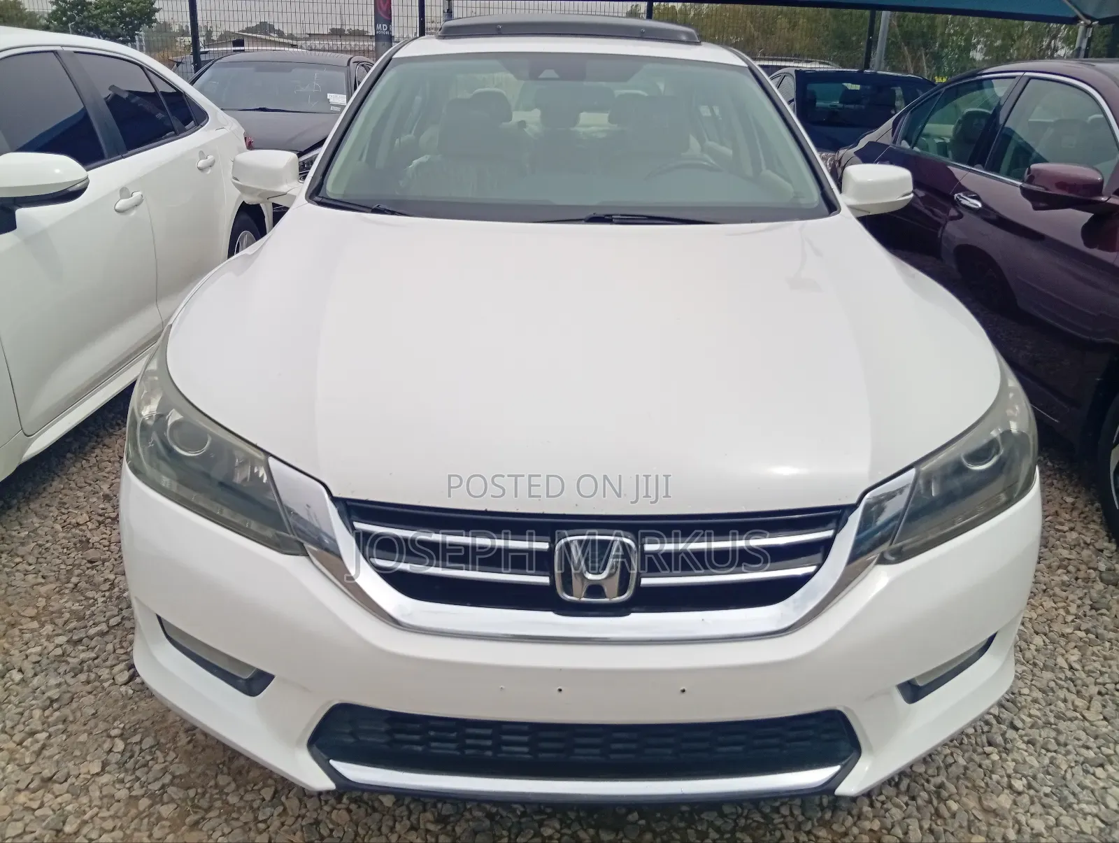 Honda Accord EX-L V-6 2dr Coupe (3.5L 6cyl 6A) 2015 White