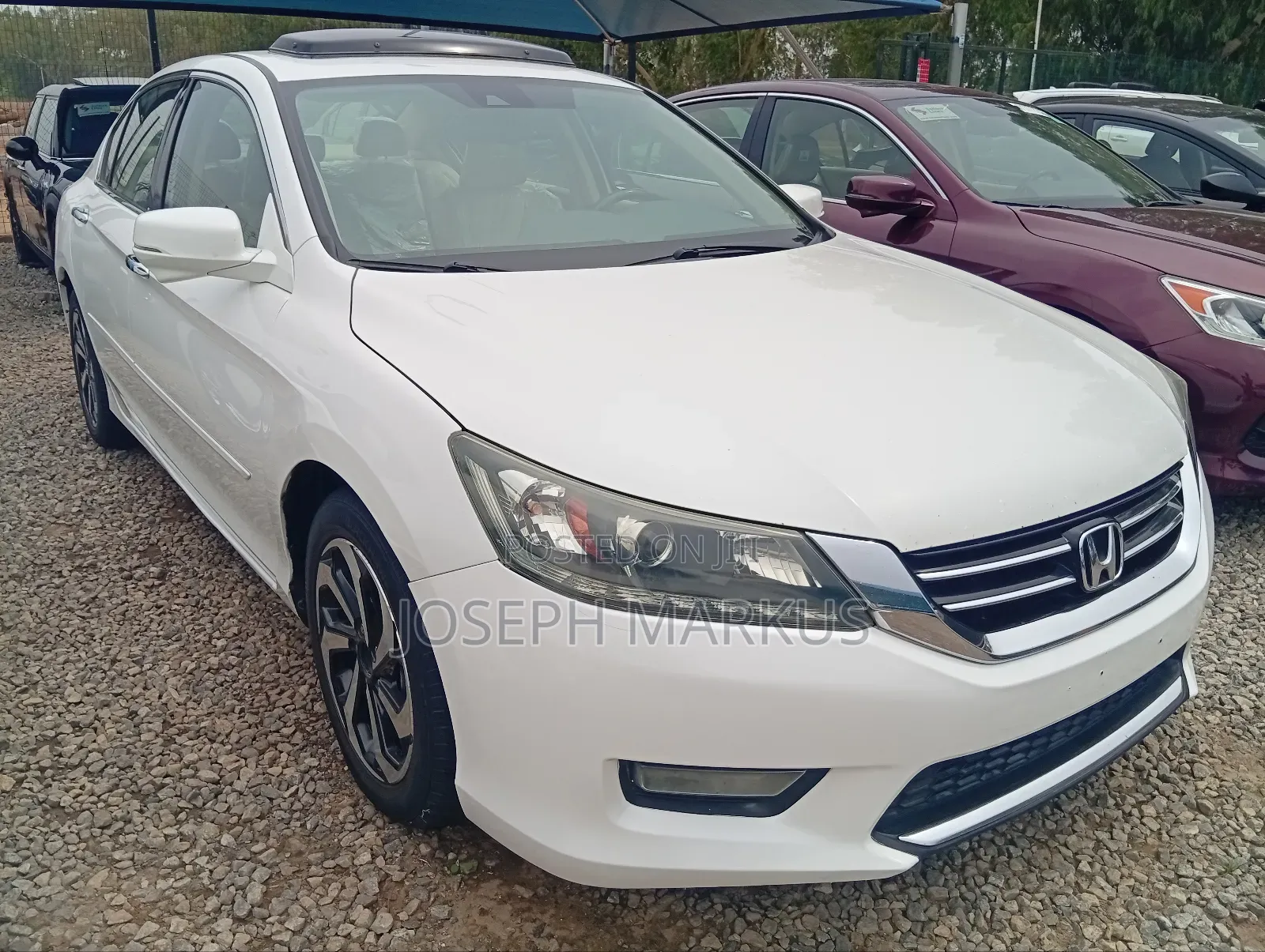Honda Accord EX-L V-6 2dr Coupe (3.5L 6cyl 6A) 2015 White