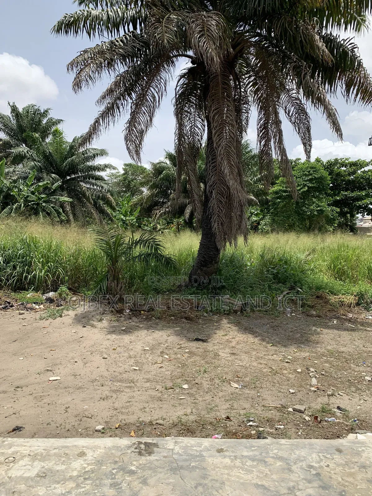 Plot of Land Fenced and Gated