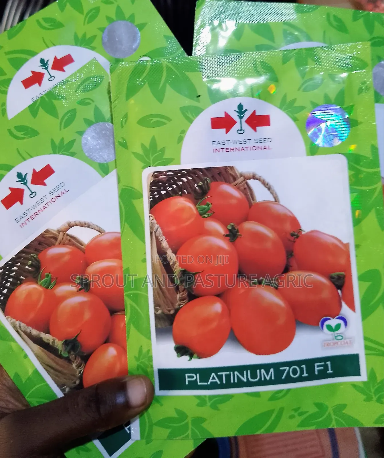 Platinum Tomato Seeds