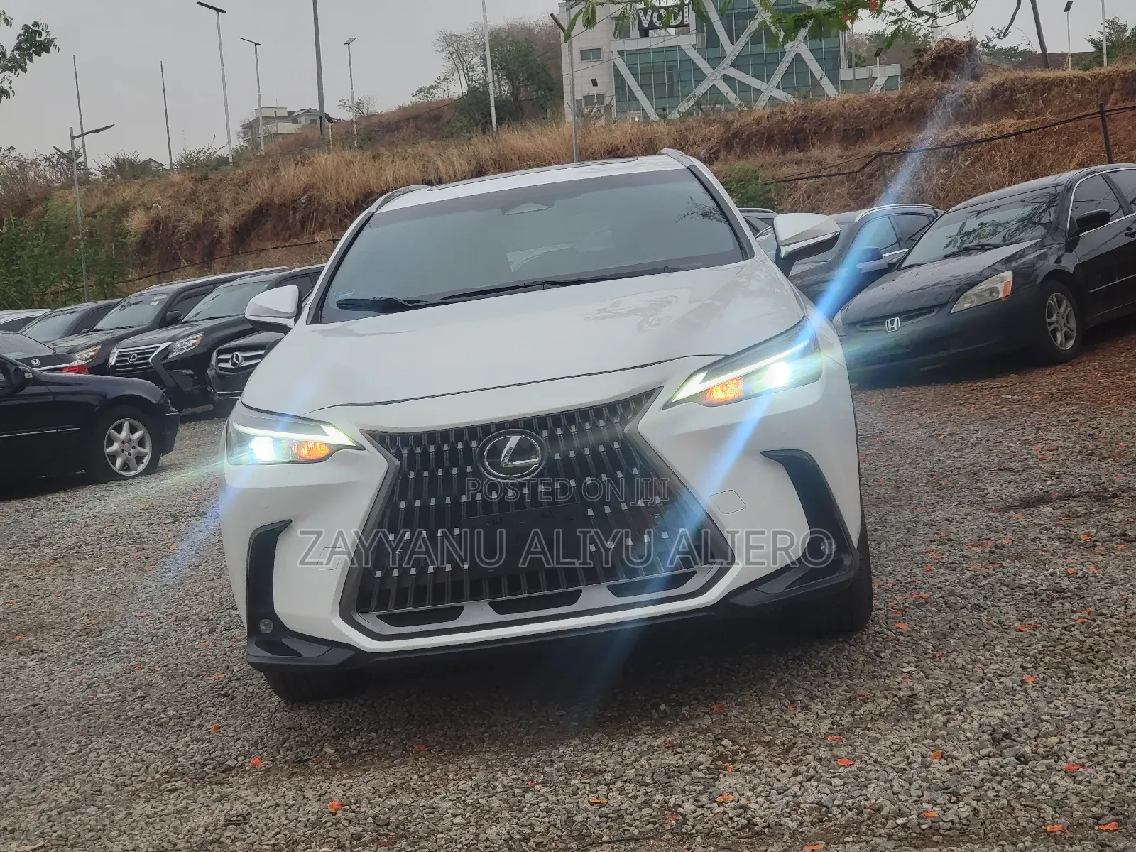 Lexus NX 2023 White