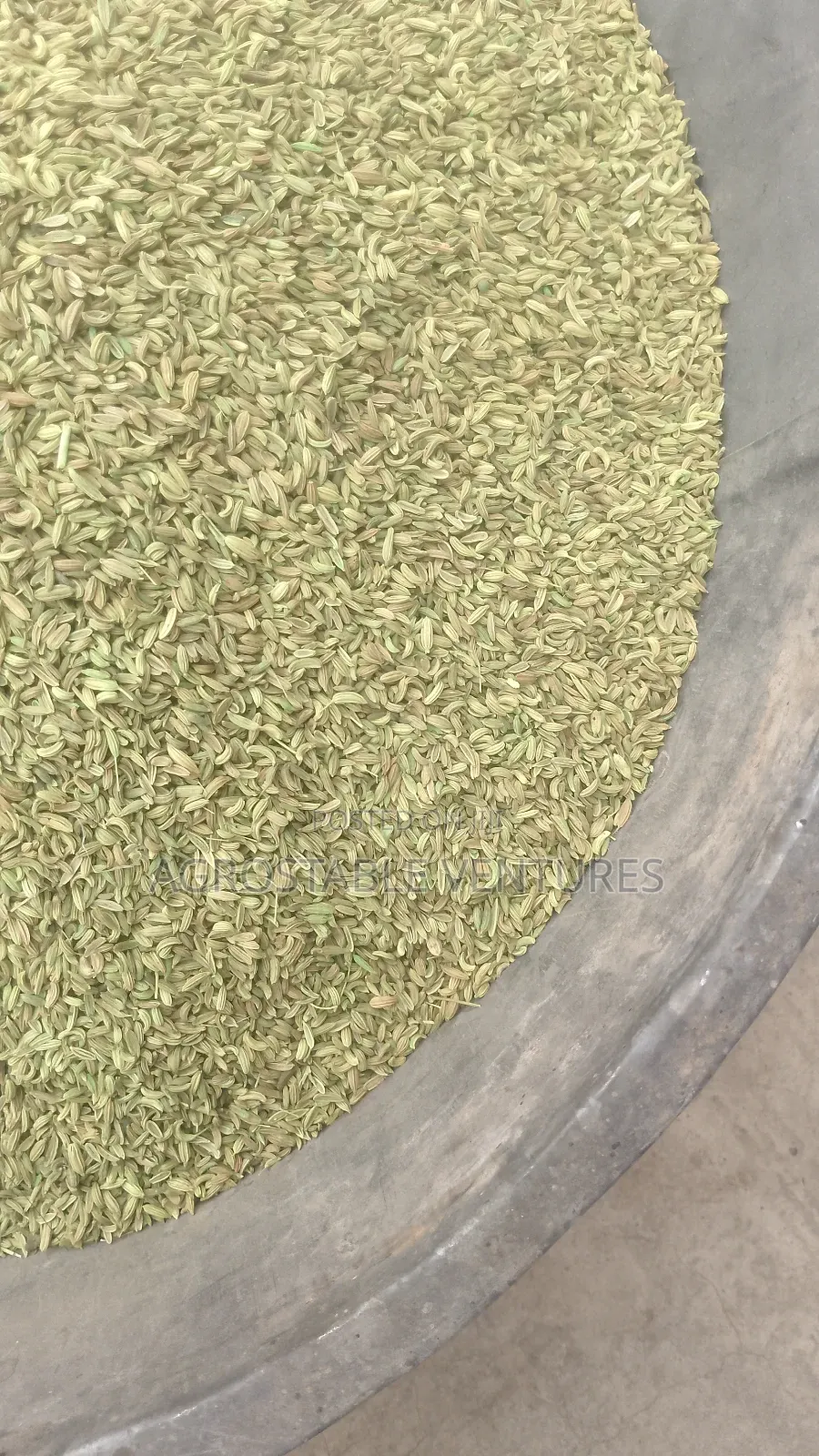 Fennel Seed 1kg Pack