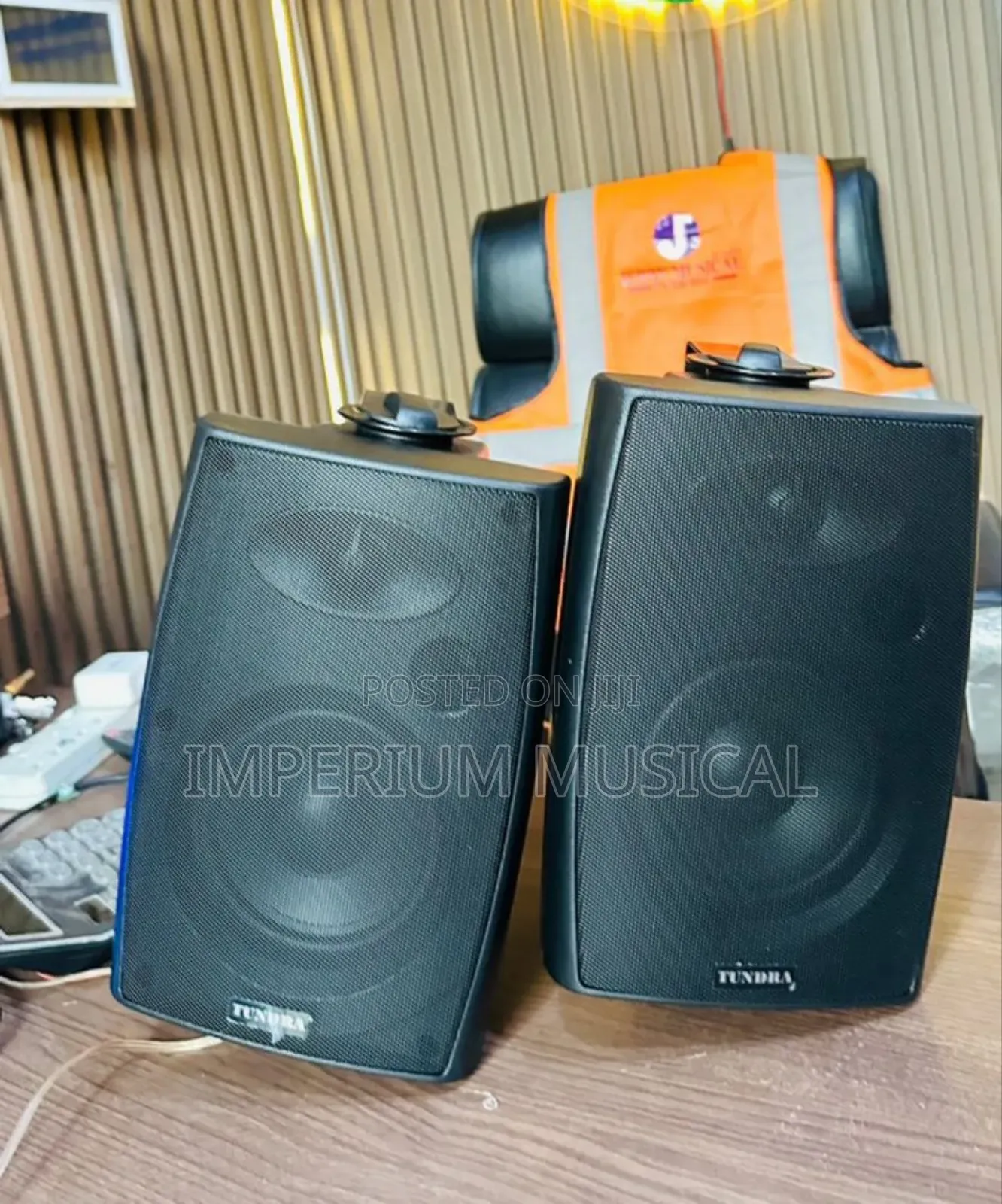 Indoor and Outdoor Speaker With Woofer