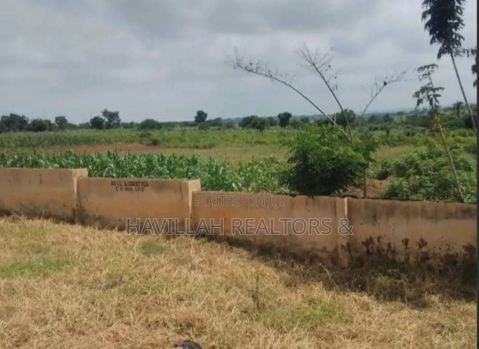 300 Plots of Land for Sale