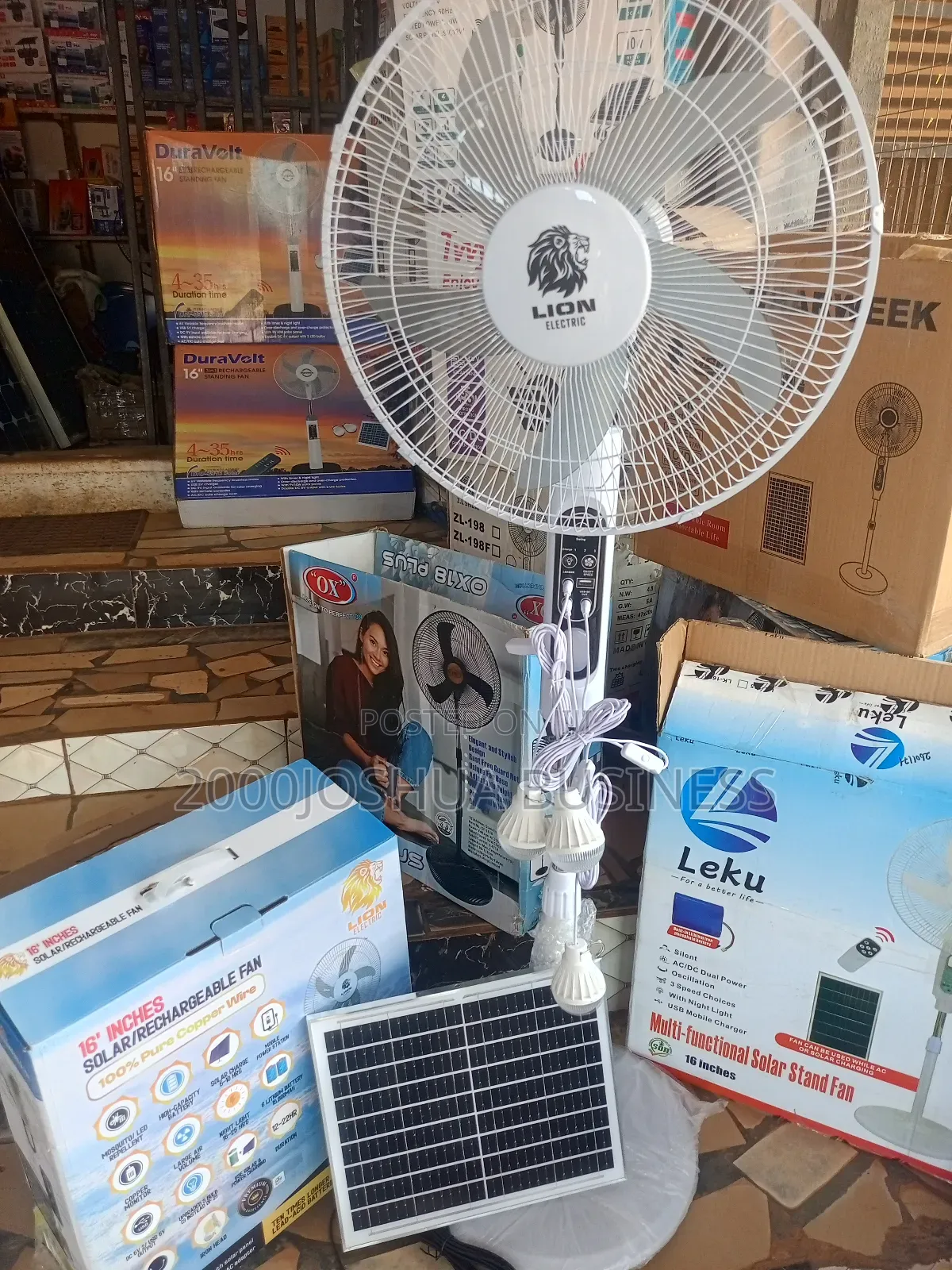Lion Solar and Rechargeable Fan
