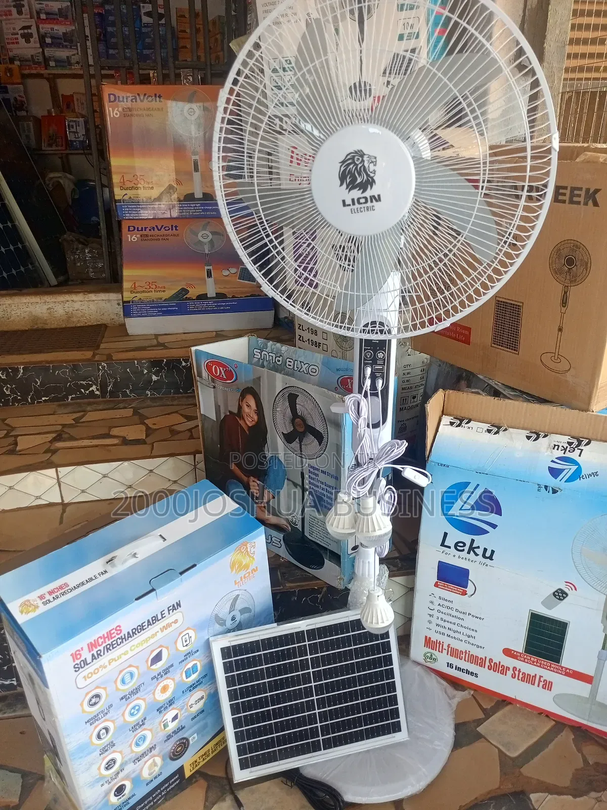 Lion Solar and Rechargeable Fan