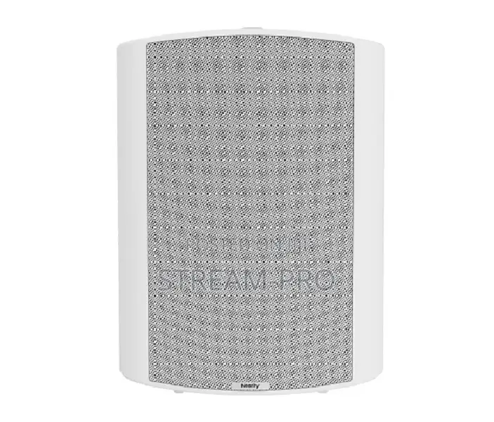 Nearity Asp110 Loudspeaker