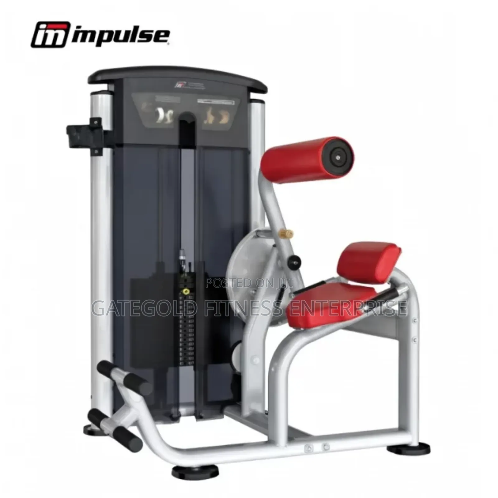 Heavy Duty Commercial Advanced Back Extension It9532
