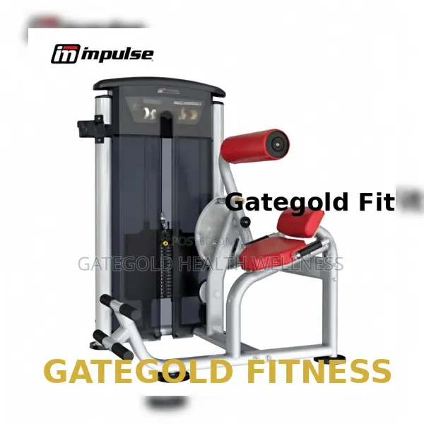 It9532 Heavy Duty Commercial Advanced Back Extension