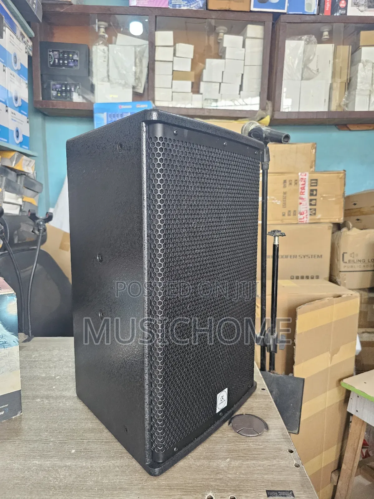 Professional 10" Midrange Speakers 2pcs