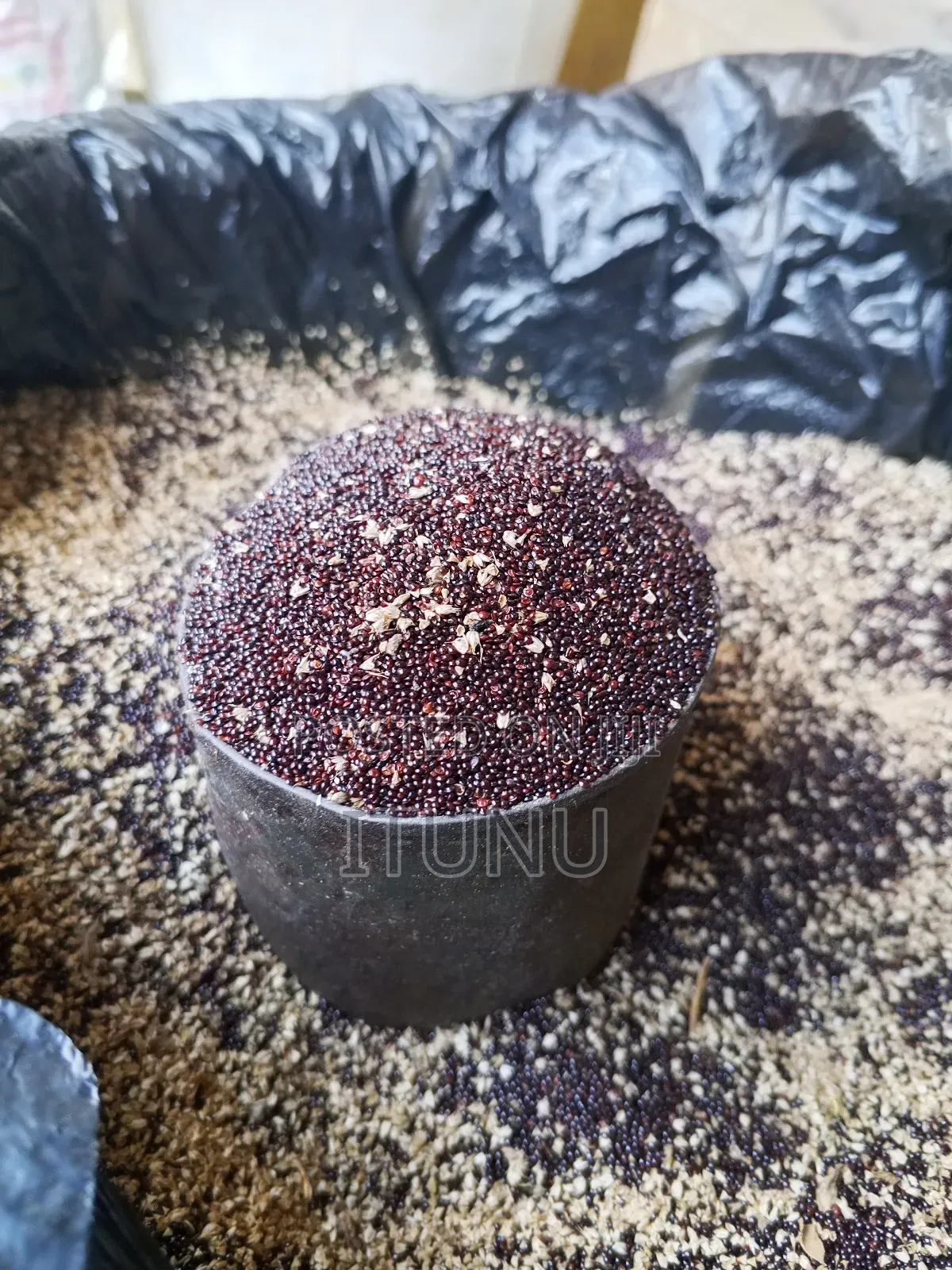 Vegetable Seeds Amaranthus(Green, Efo Tete) 1 Tin Cup
