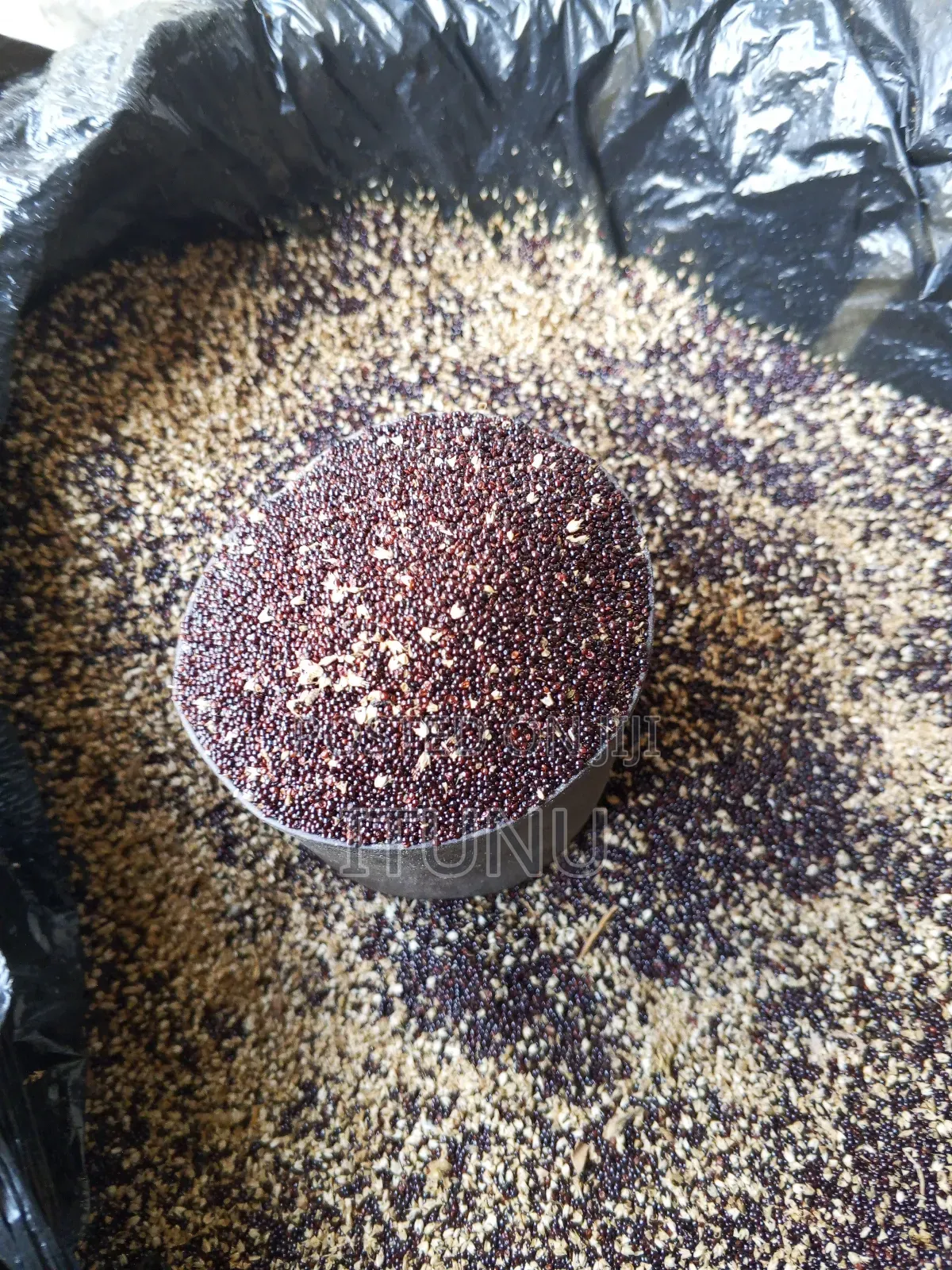 Vegetable Seeds Amaranthus(Green, Efo Tete) 1 Tin Cup