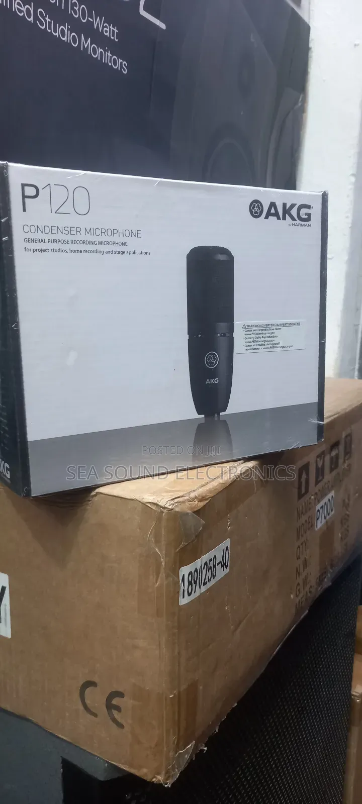 Akg Condense Mic P120
