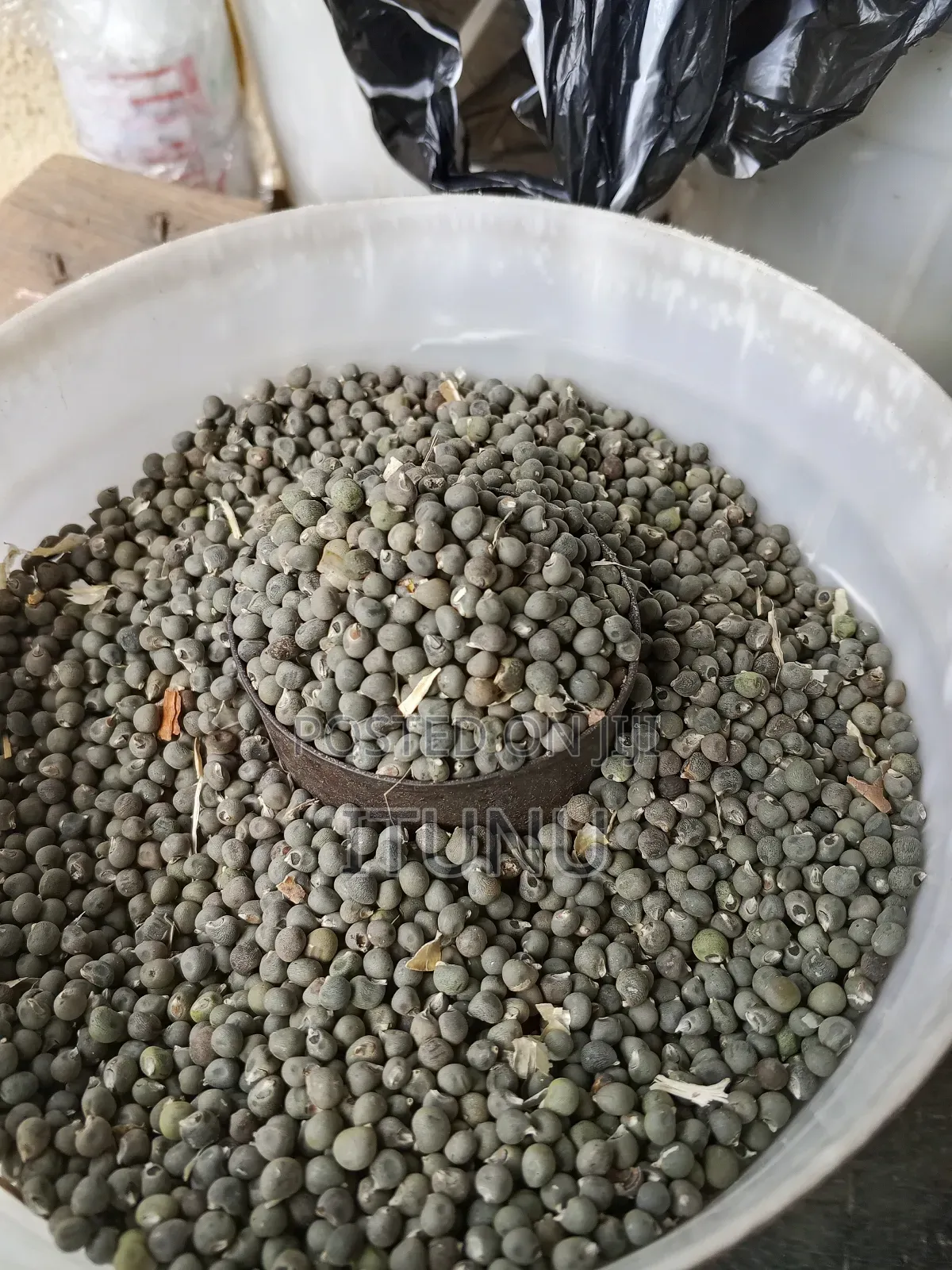 Okra Seeds 1 Milk Cup