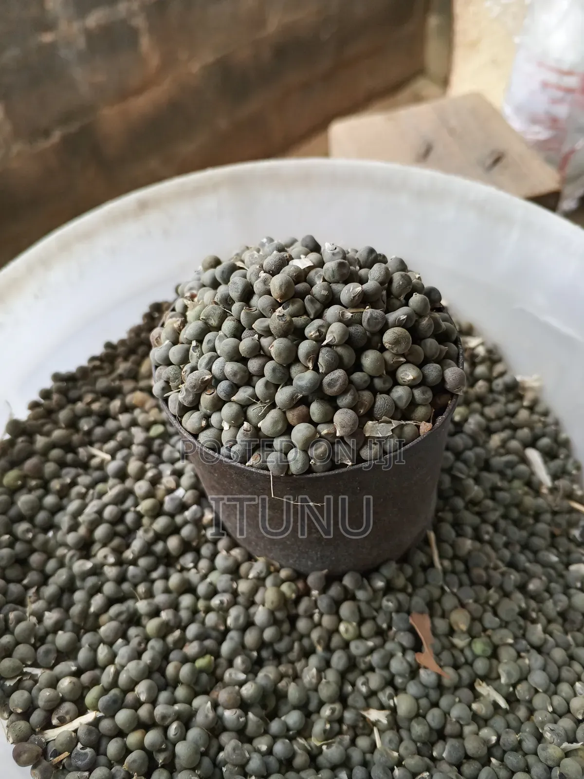 Okra Seeds 1 Milk Cup