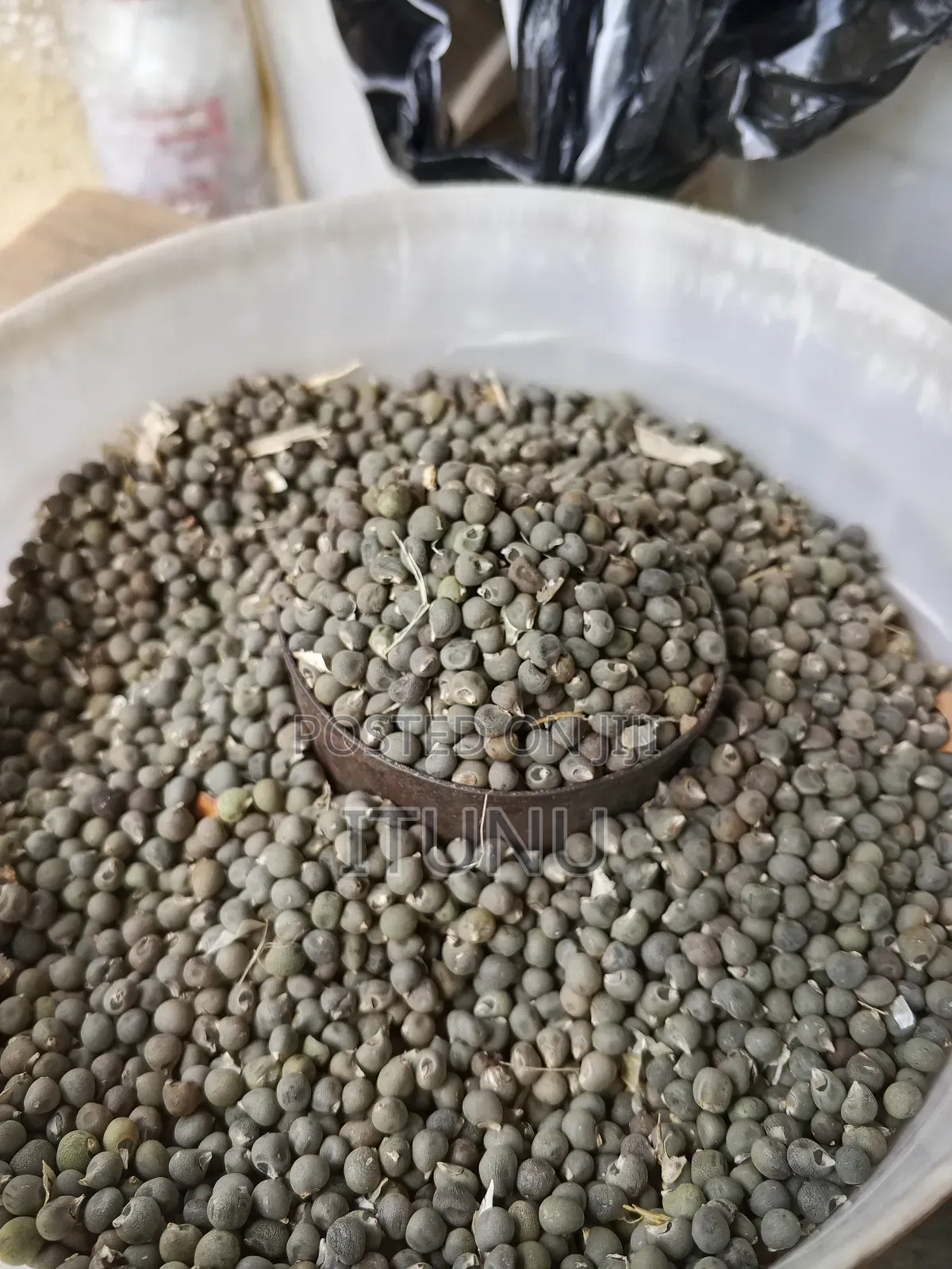 Okra Seeds 1 Milk Cup