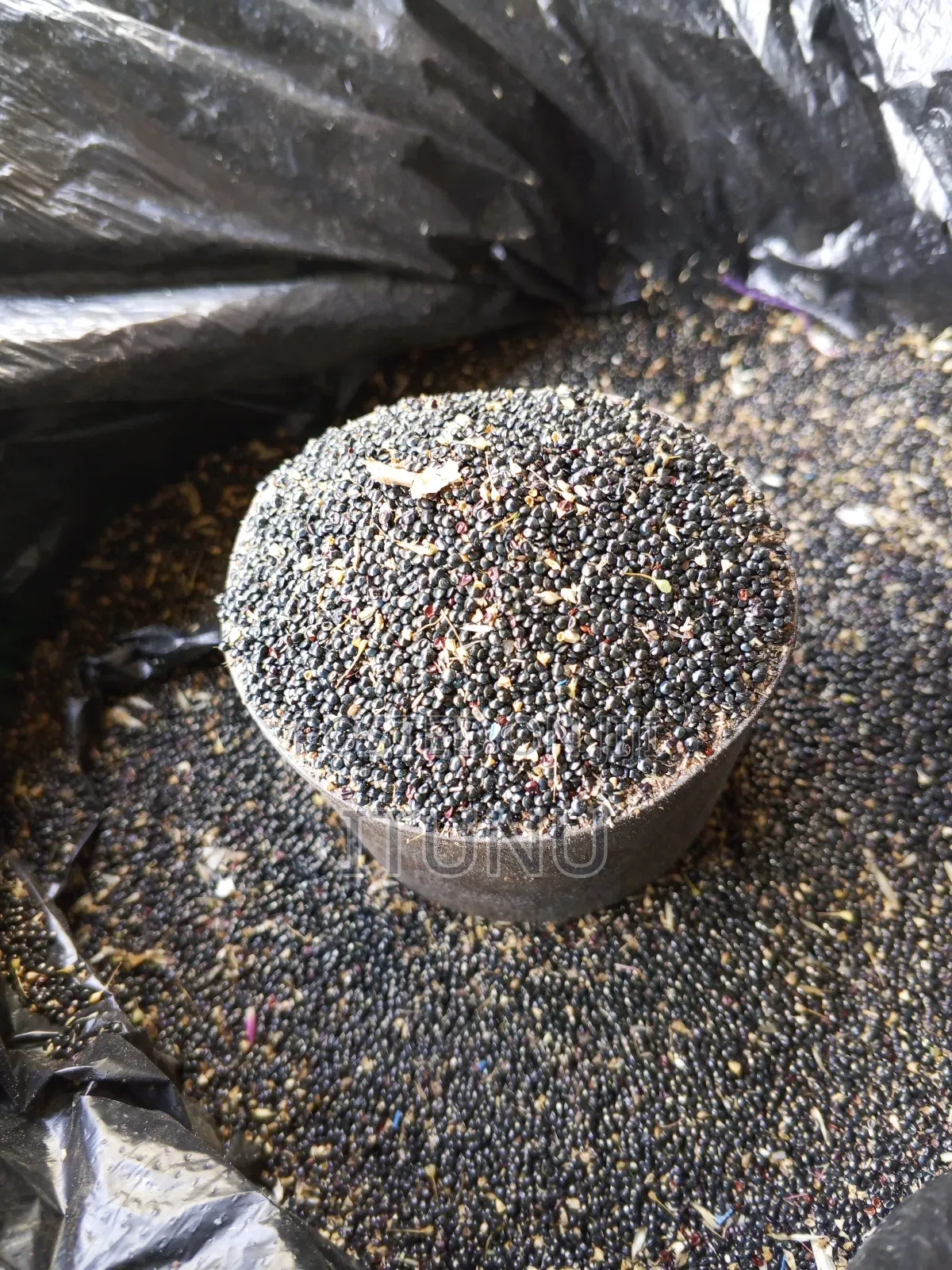 Vegetable Seeds (Shoko,Lagos Spinach) 1 Tin Cup