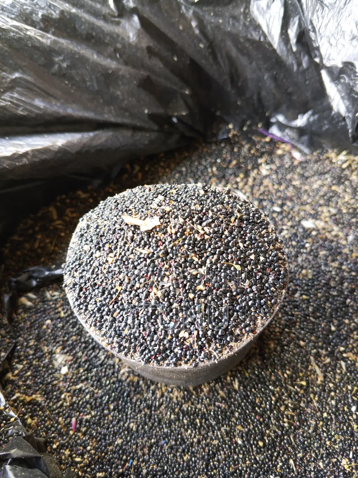 Vegetable Seeds (Shoko,Lagos Spinach) 1 Tin Cup