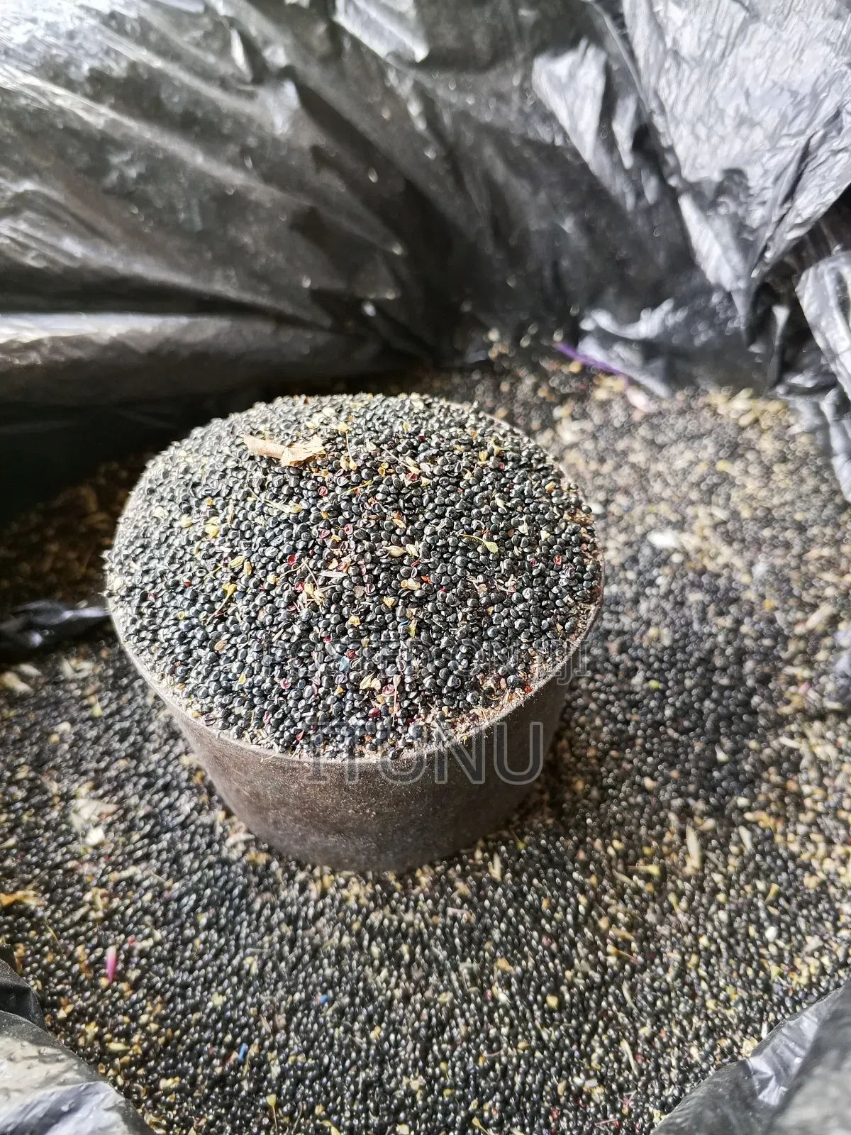 Vegetable Seeds (Shoko,Lagos Spinach) 1 Tin Cup