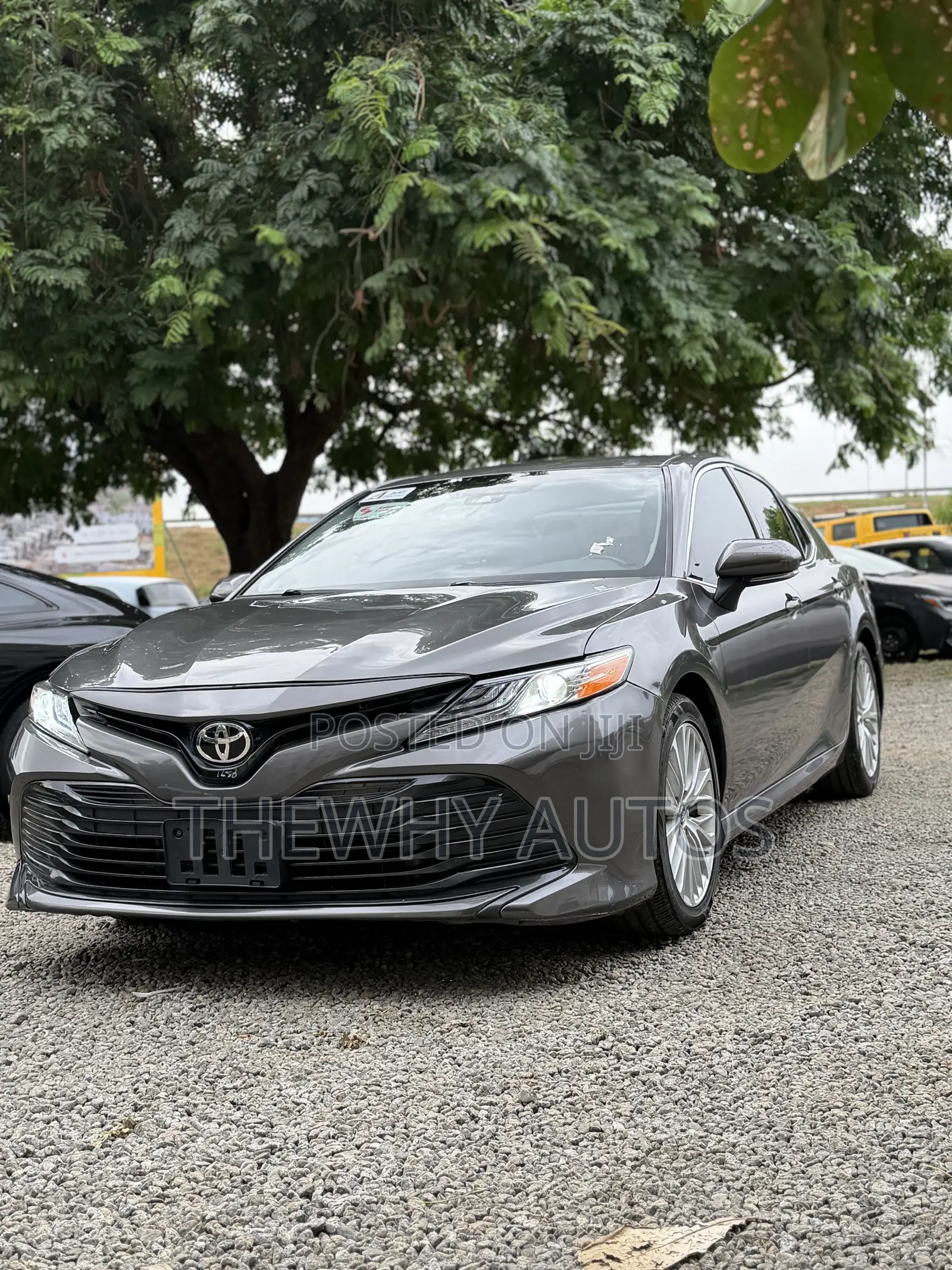 Toyota Camry XLE (2.5L 4cyl 8A) 2019 Gray