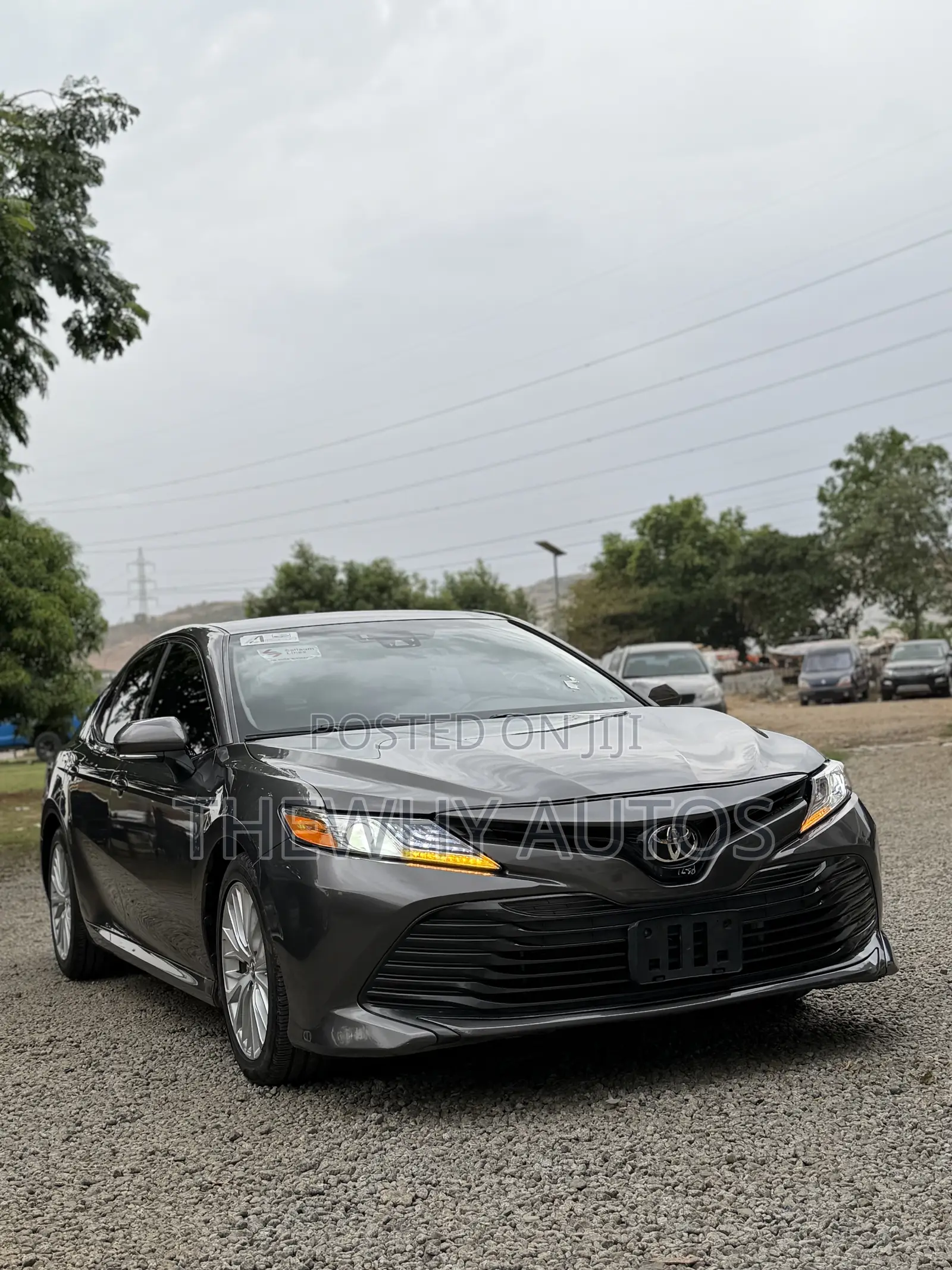 Toyota Camry XLE (2.5L 4cyl 8A) 2019 Gray