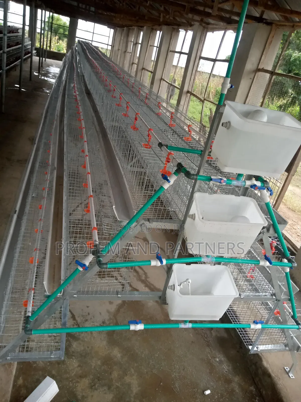 Premium Cage