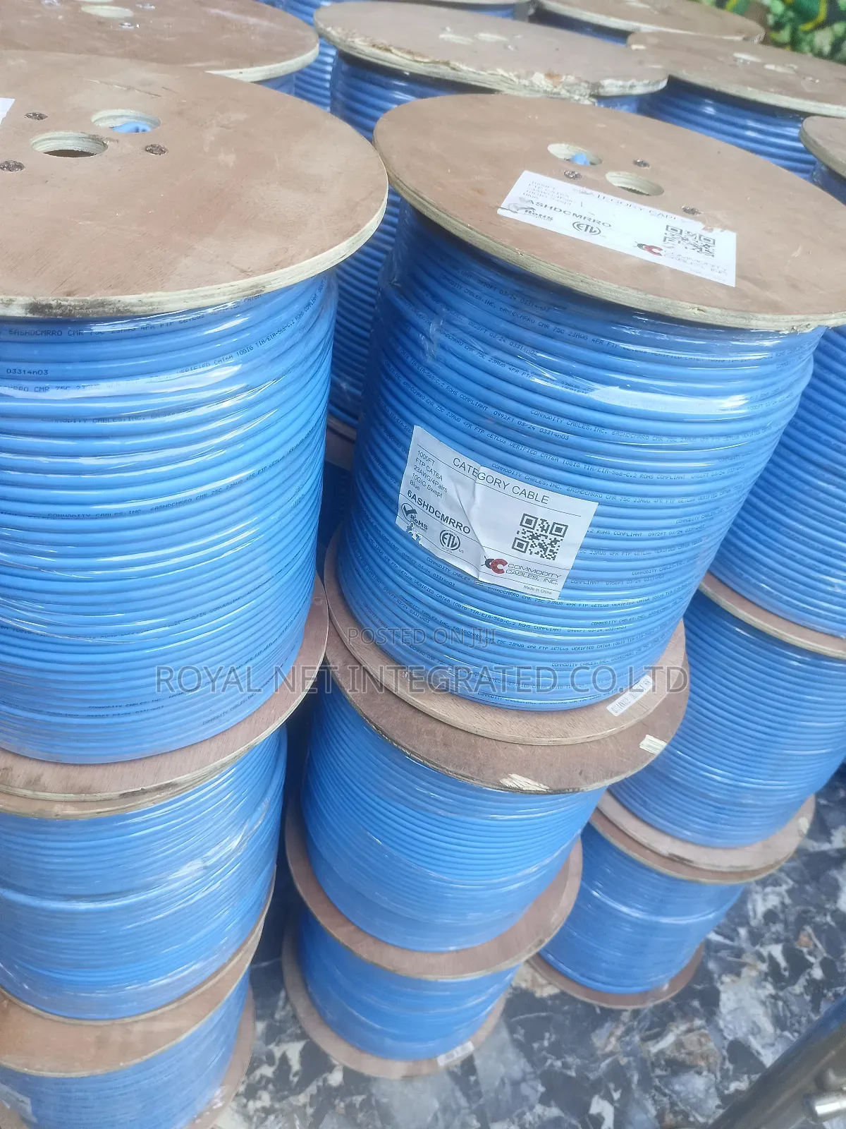 Cat6a Shided Cable 10g Blue