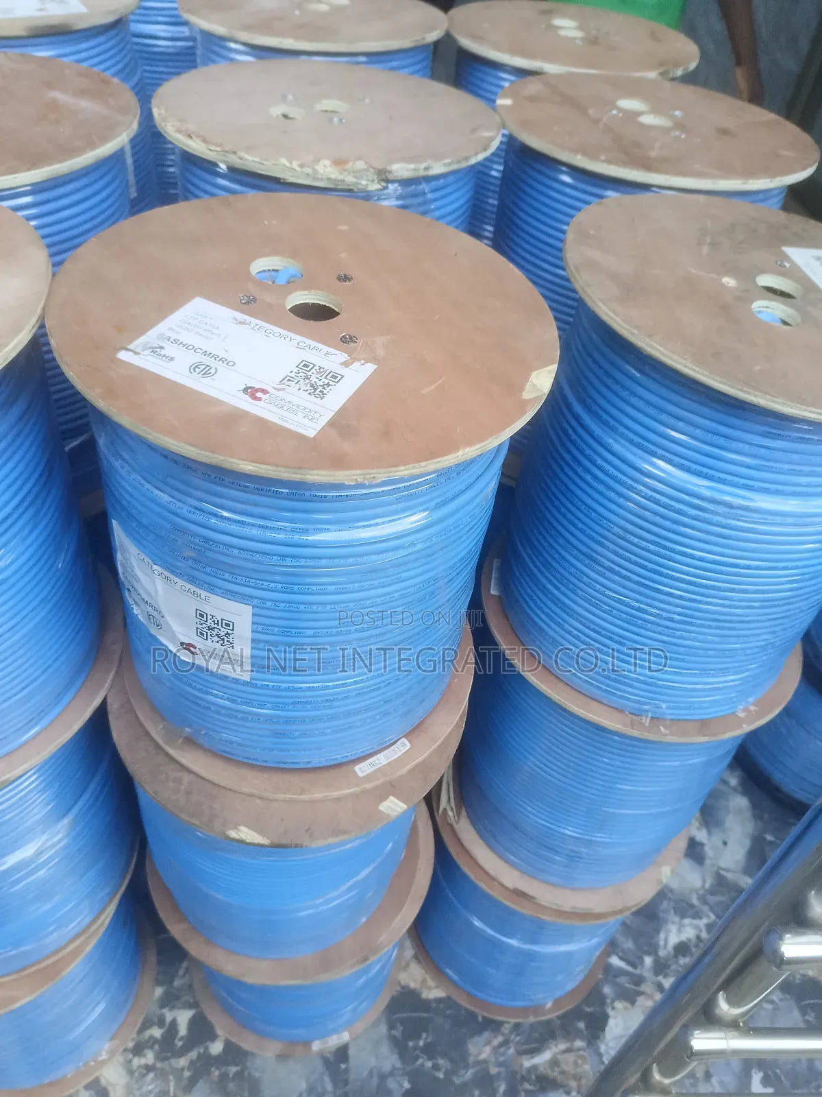 Cat6a Shided Cable 10g Blue