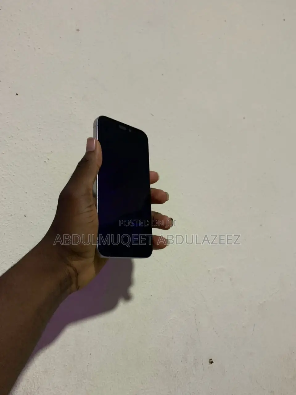 Apple iPhone 15 Pro Max 512 GB Silver