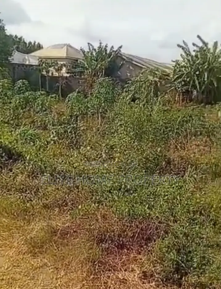 Land for Sale