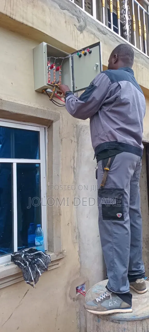 Professional Electrician