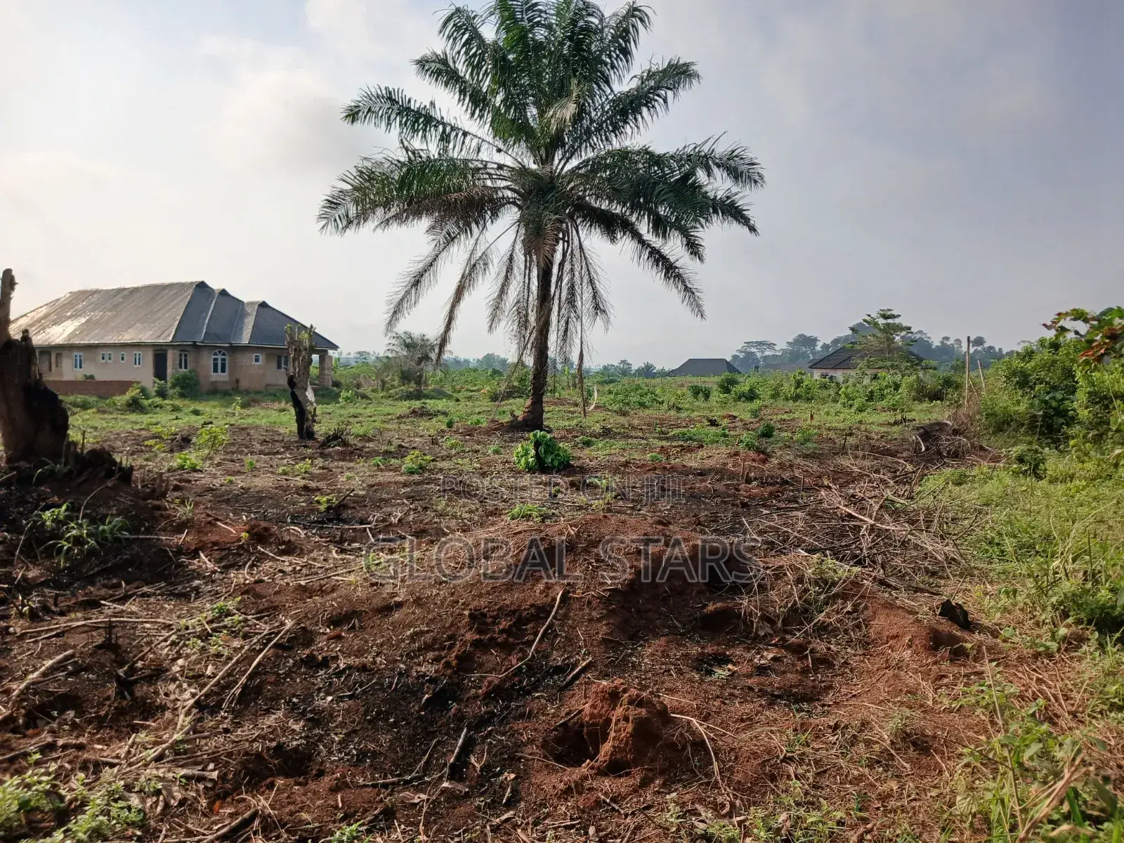 100 by 100 Plots of Land for Sale at Global Estate, Auchi/Agbor Road
